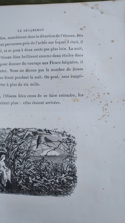 1867 Les Fleurs Animées | Grandville Brown Leather 2-Volume Set