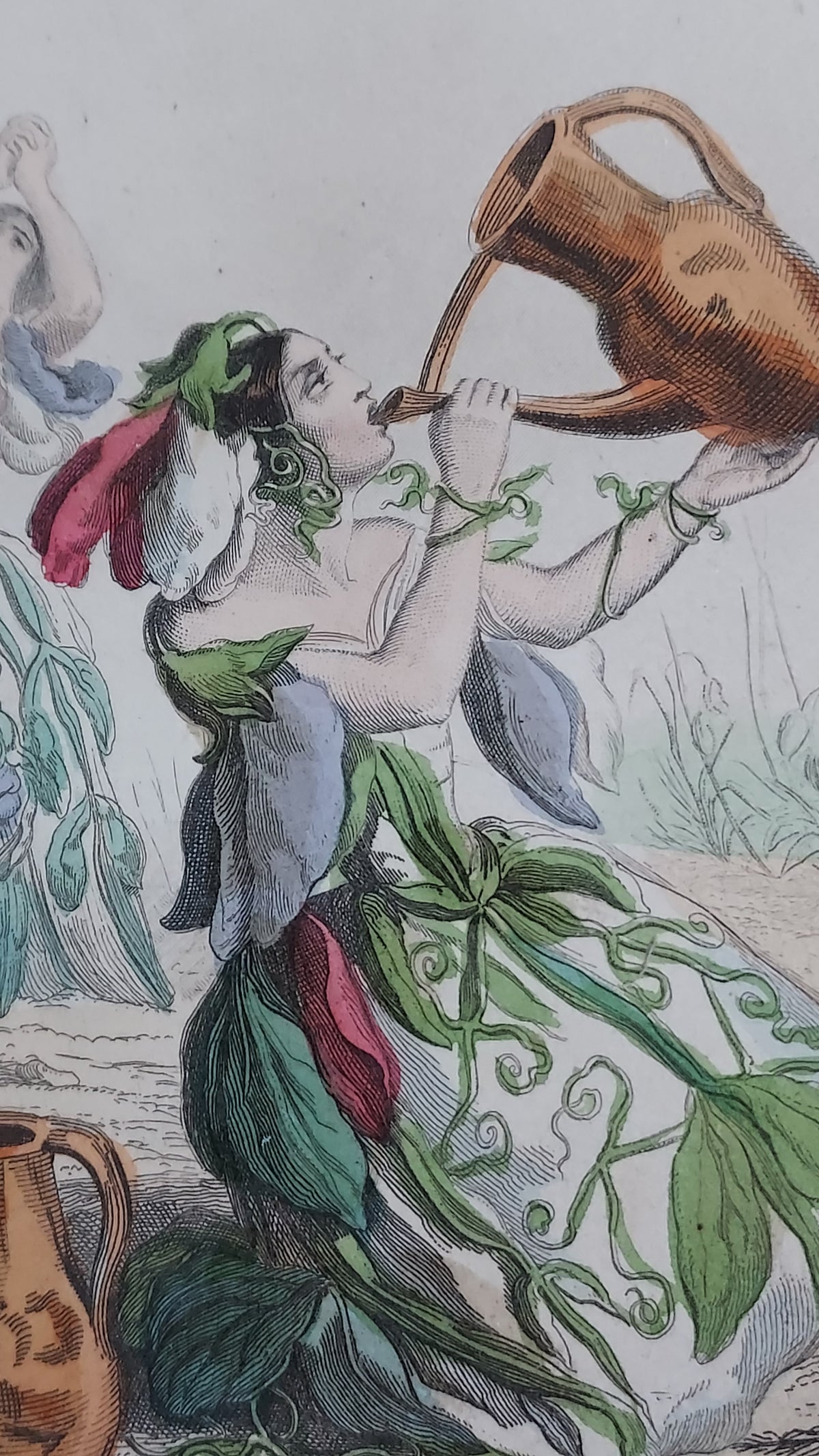 1867 Les Fleurs Animées | Grandville Brown Leather 2-Volume Set