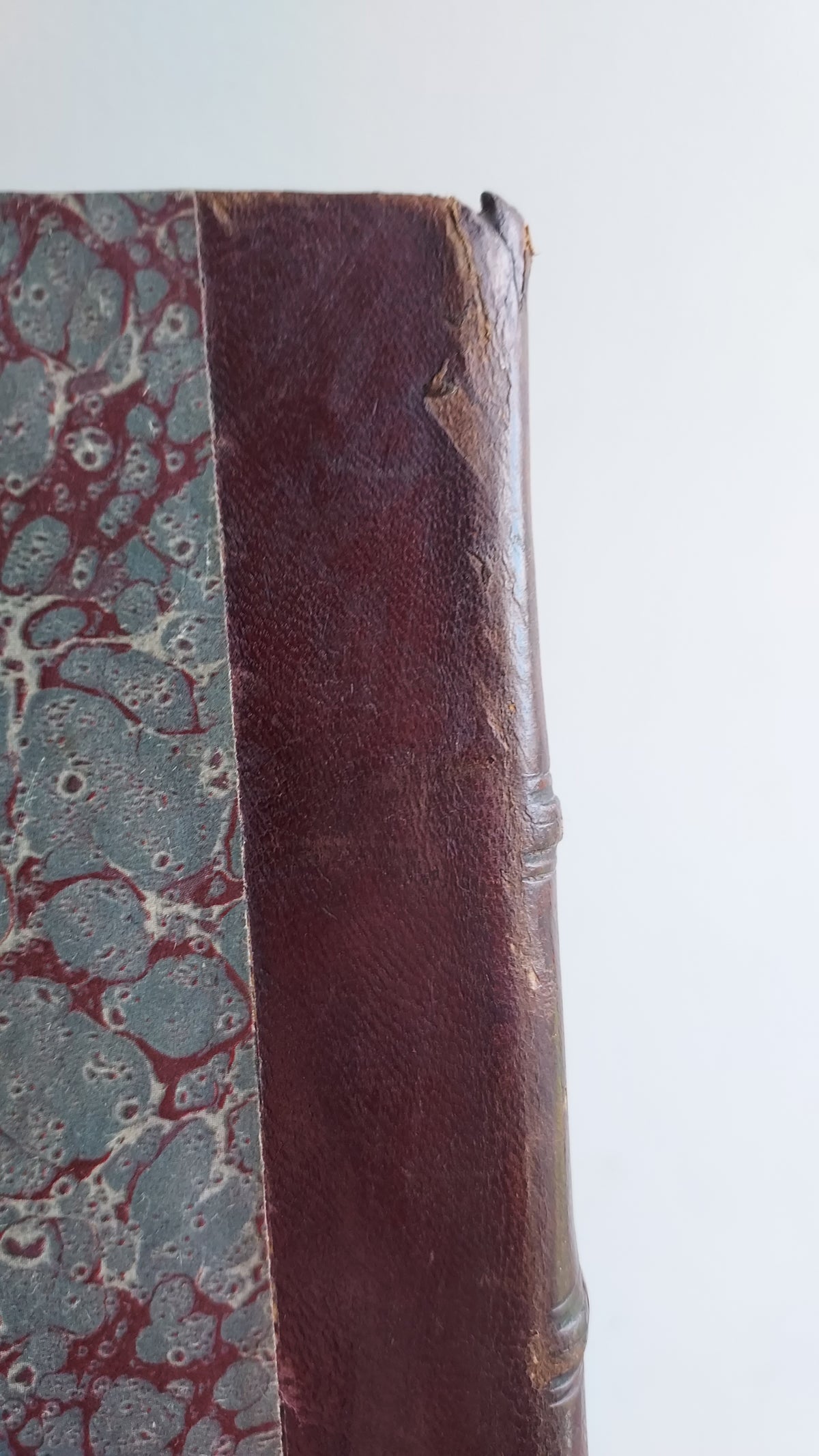 1867 Les Fleurs Animées | Grandville Brown Leather 2-Volume Set