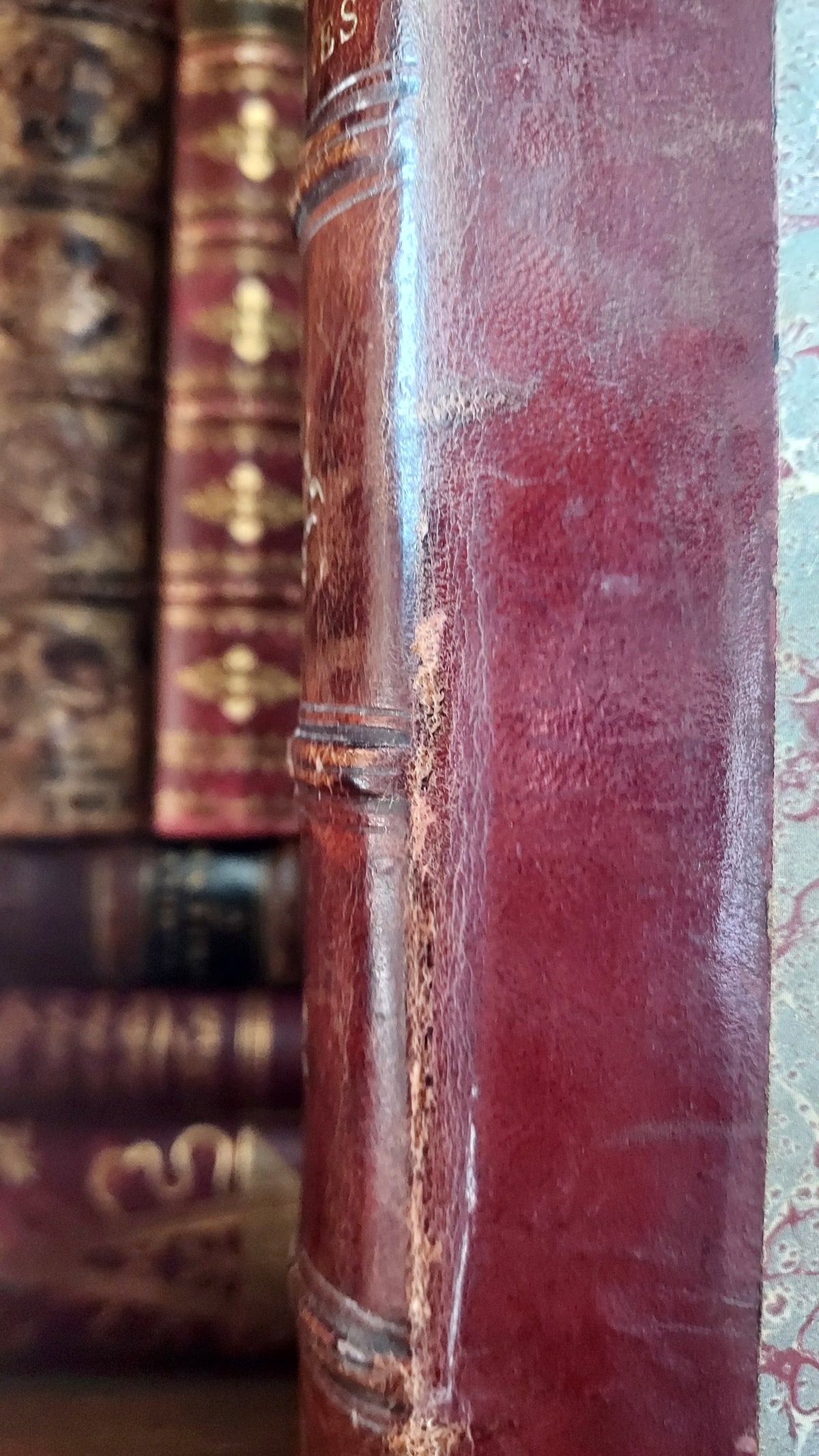 1867 Les Fleurs Animées | Grandville Brown Leather 2-Volume Set