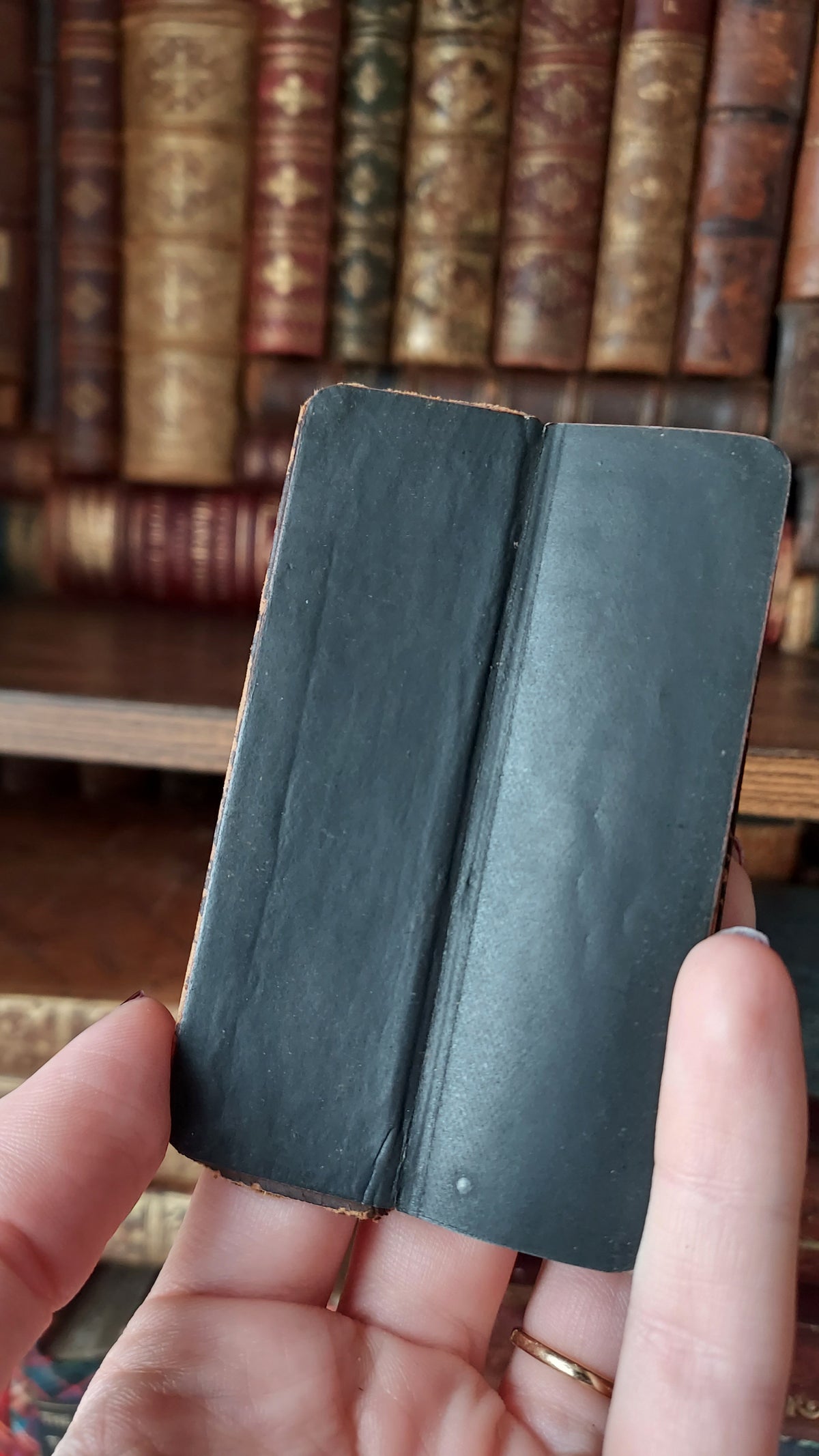 1890s The Book of Common Prayer | Finger Bible
