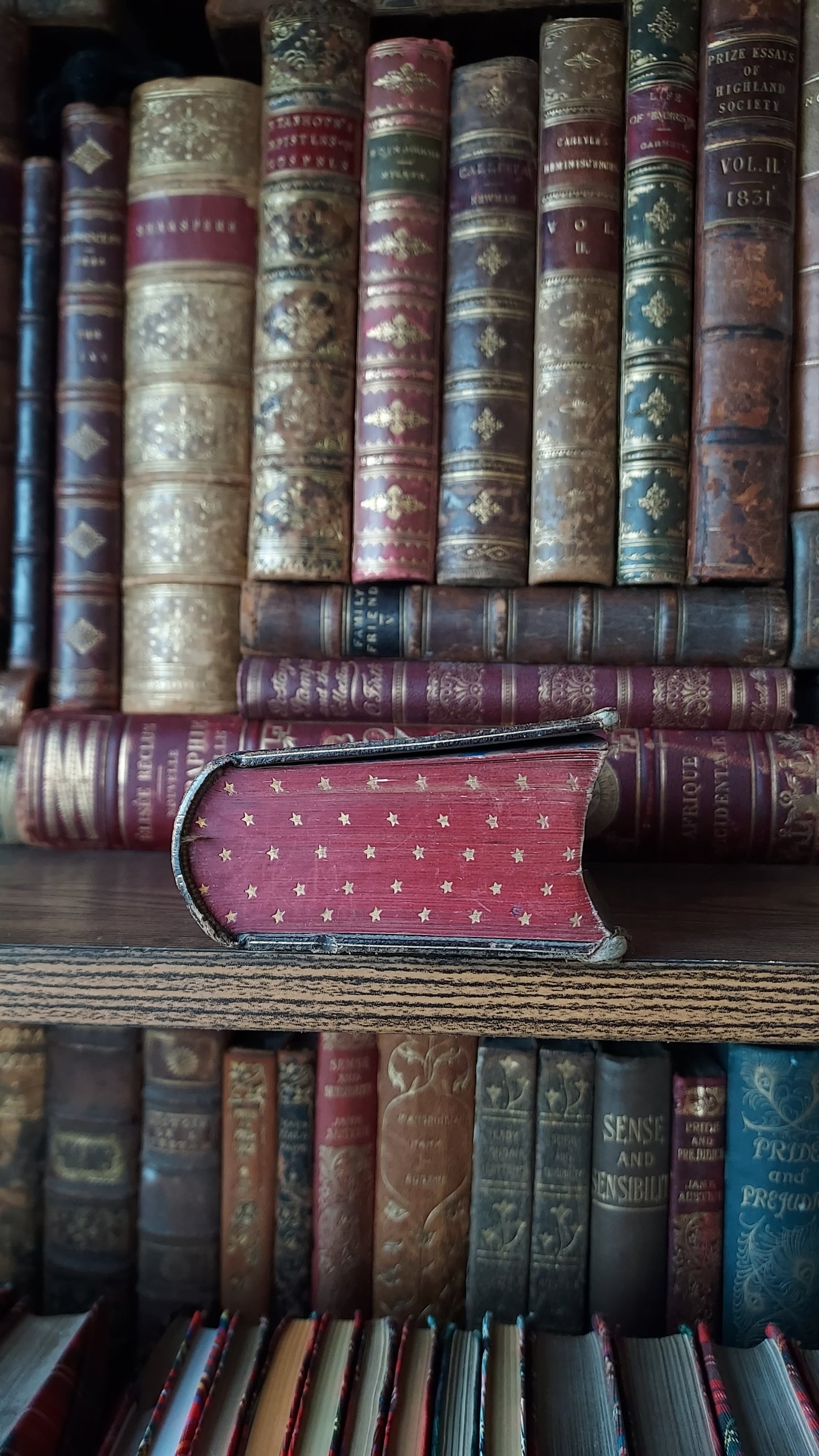 1876 Paroissien Romain | Red Star Gauffered Edge