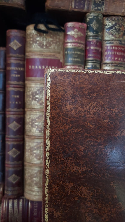 1882 Visits to Remarkable Places | Victorian Prize Binding