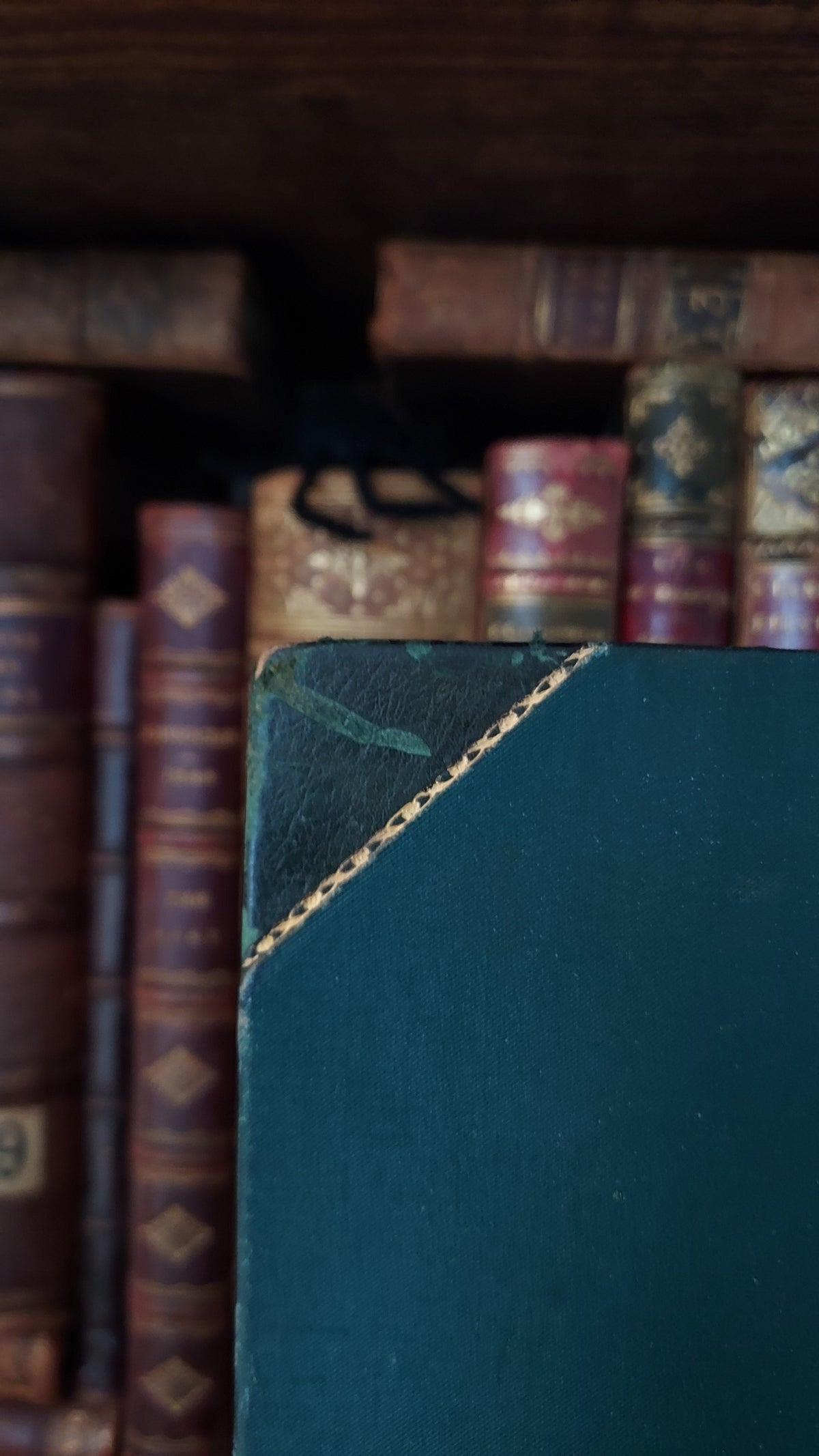 1804 The Shipwreck: A Poem | Green Leather & Thistles