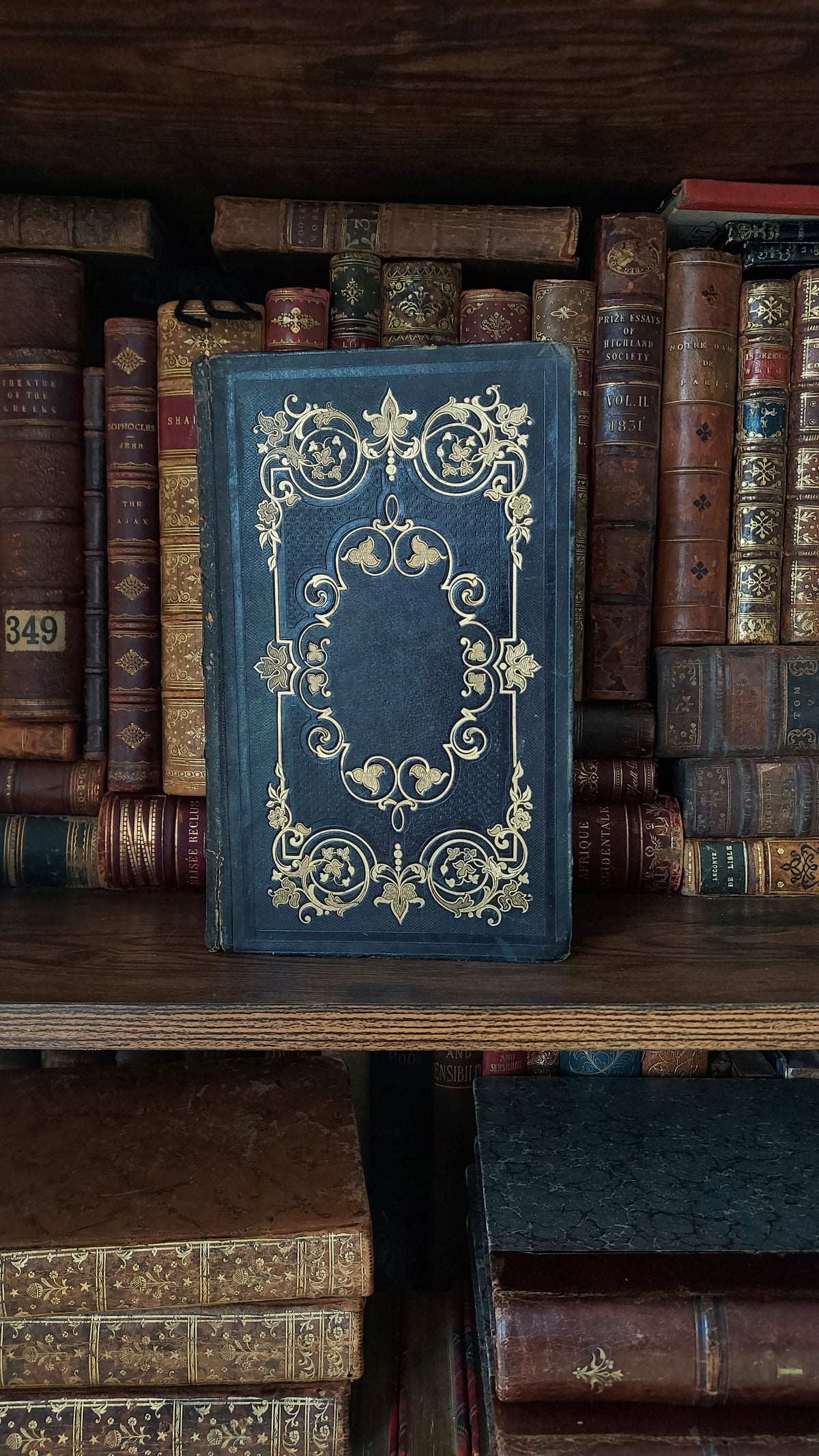 1845 Pierre Saintive | Vine Motif Cartonnage