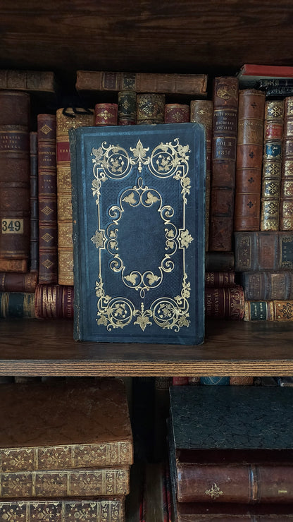 1845 Pierre Saintive | Vine Motif Cartonnage