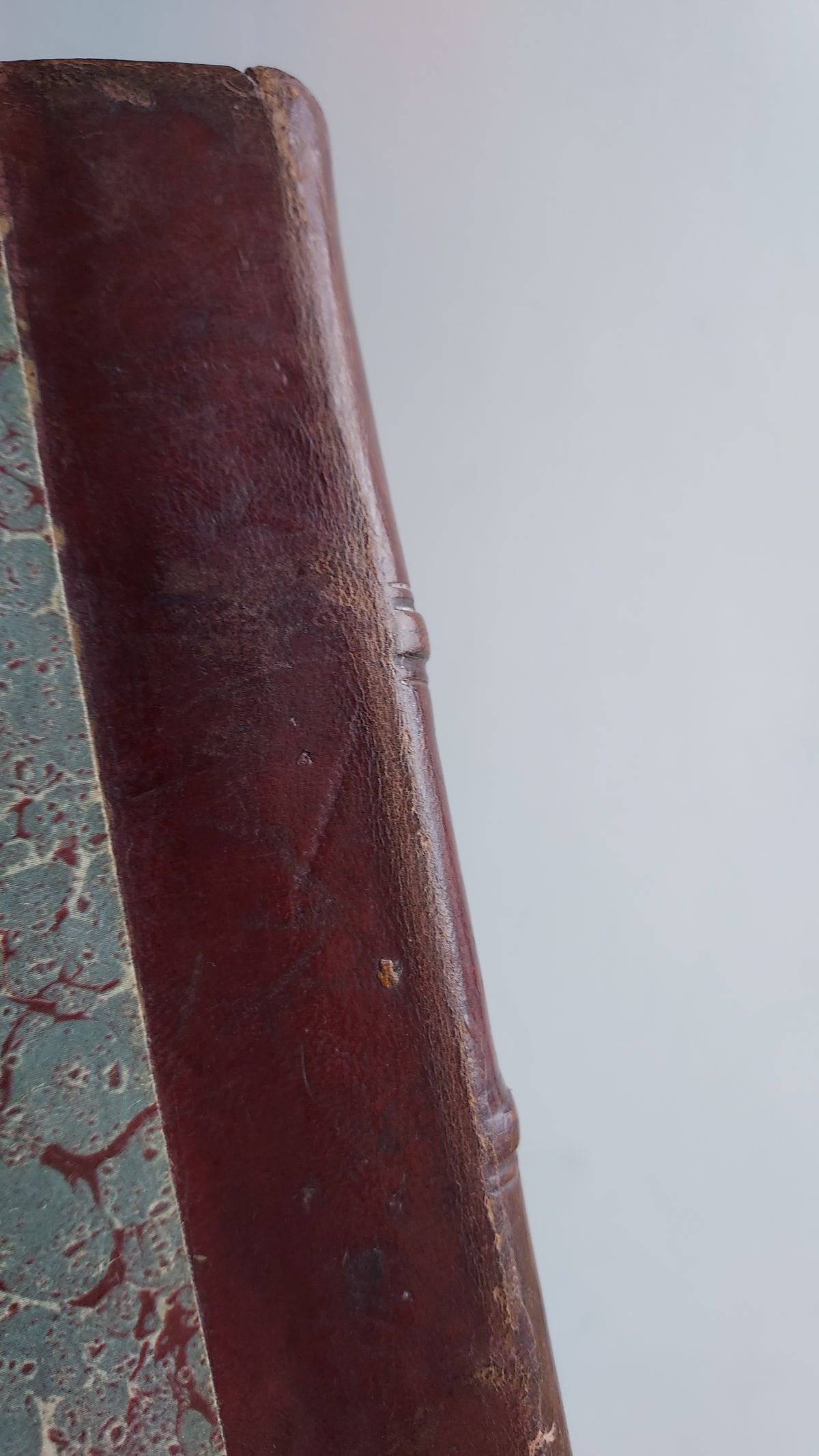 1867 Les Fleurs Animées | Grandville Brown Leather 2-Volume Set