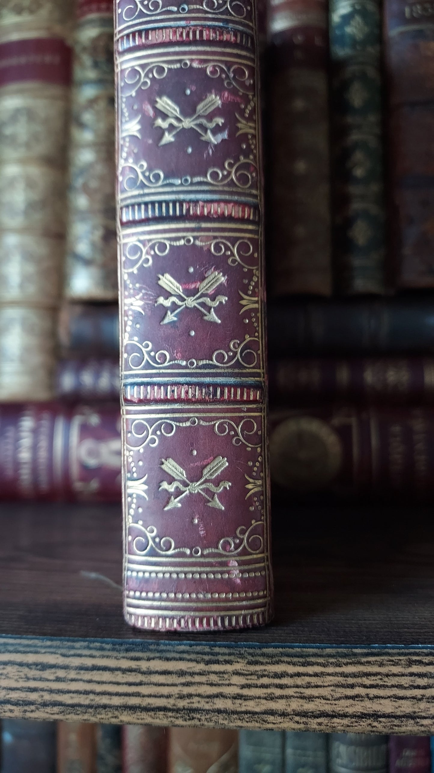 1850 The Bible History of the Holy Land | Harrow Fine Prize Binding