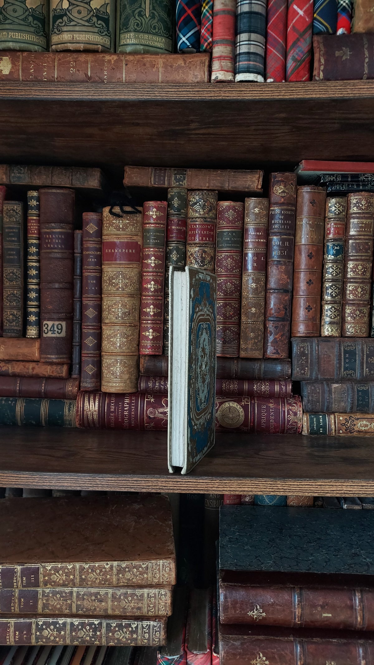 Histoire de Sainte Élisabeth de Hongrie | Mame Decorative Cartonnage Binding