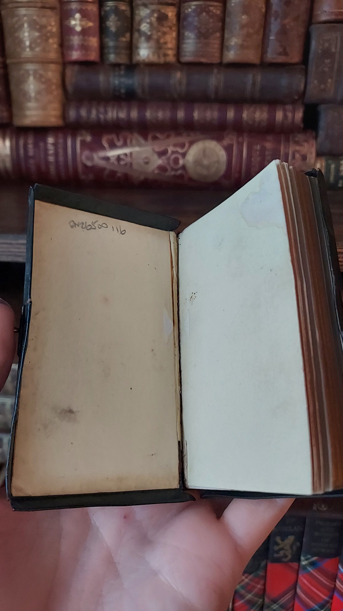 1870s The Book of Common Prayer | Unique Mini Cased-In Box Binding