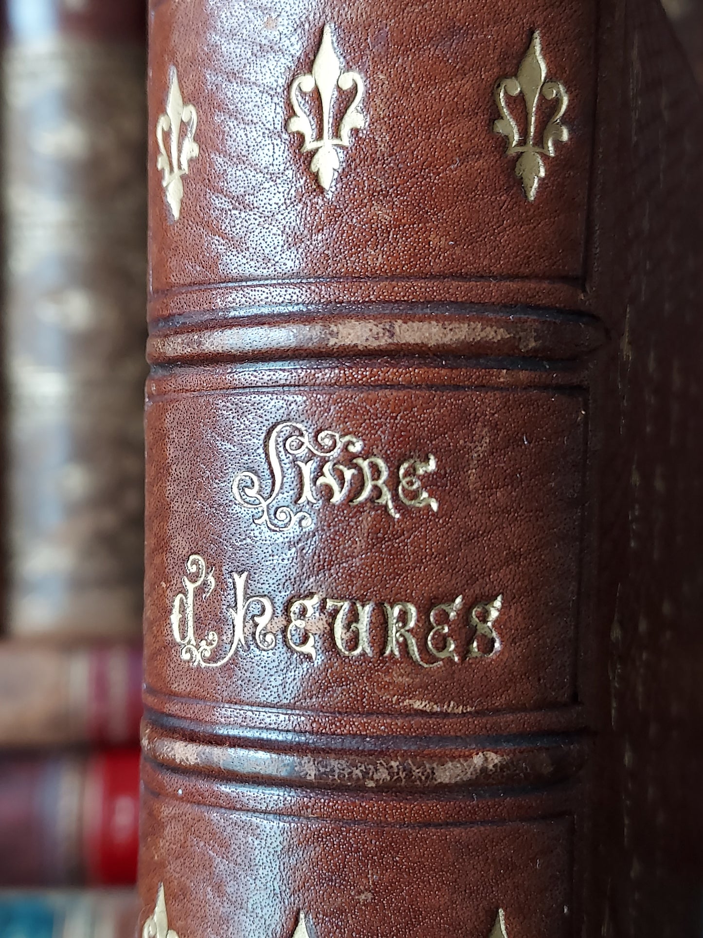 1860s Livre D'Heures Selon le Rit Romain: Gauffered Edges, Fleur-de-Lis Cover
