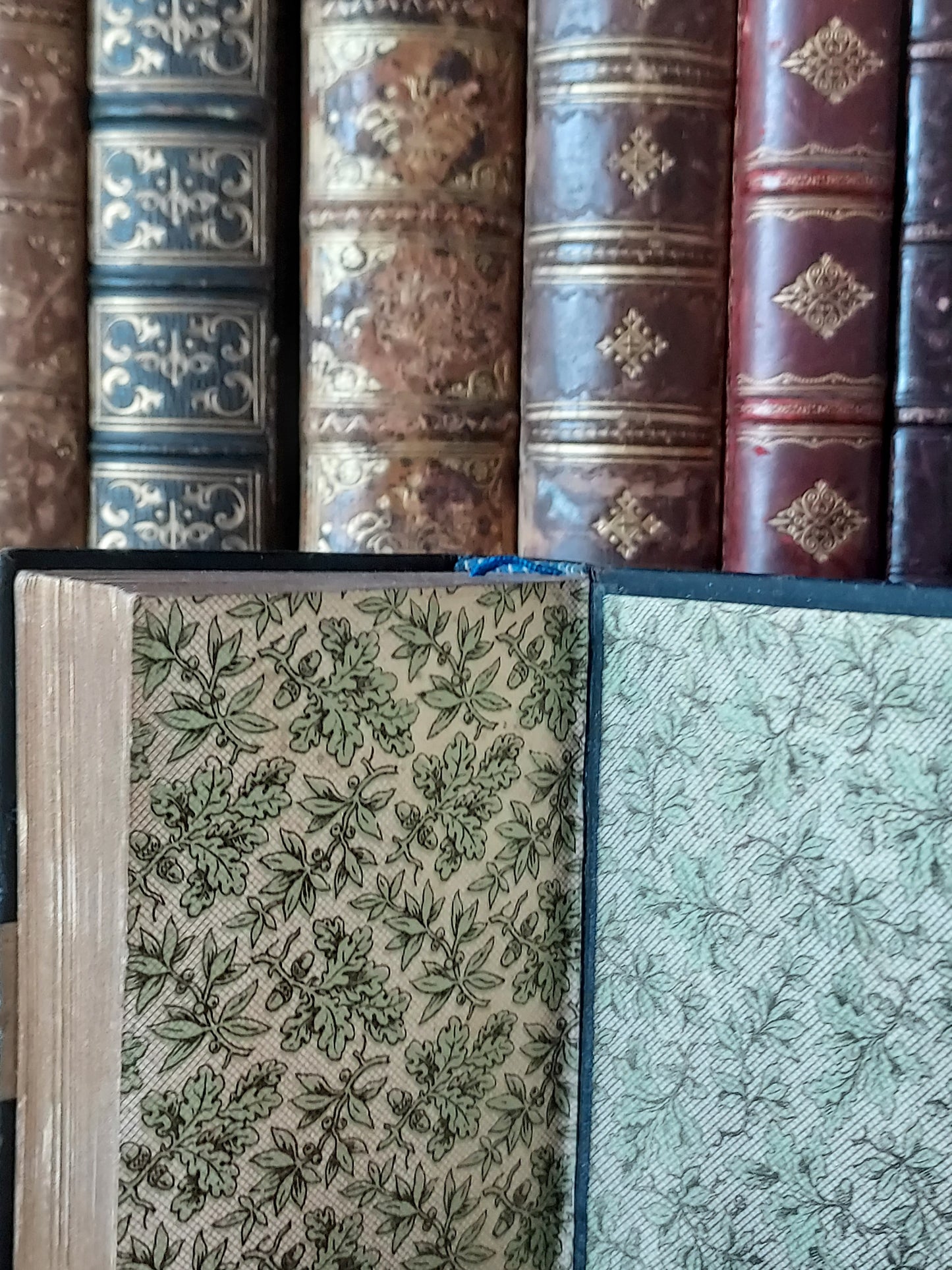 1880s Baum de Lebens | German Mother of Pearl Details