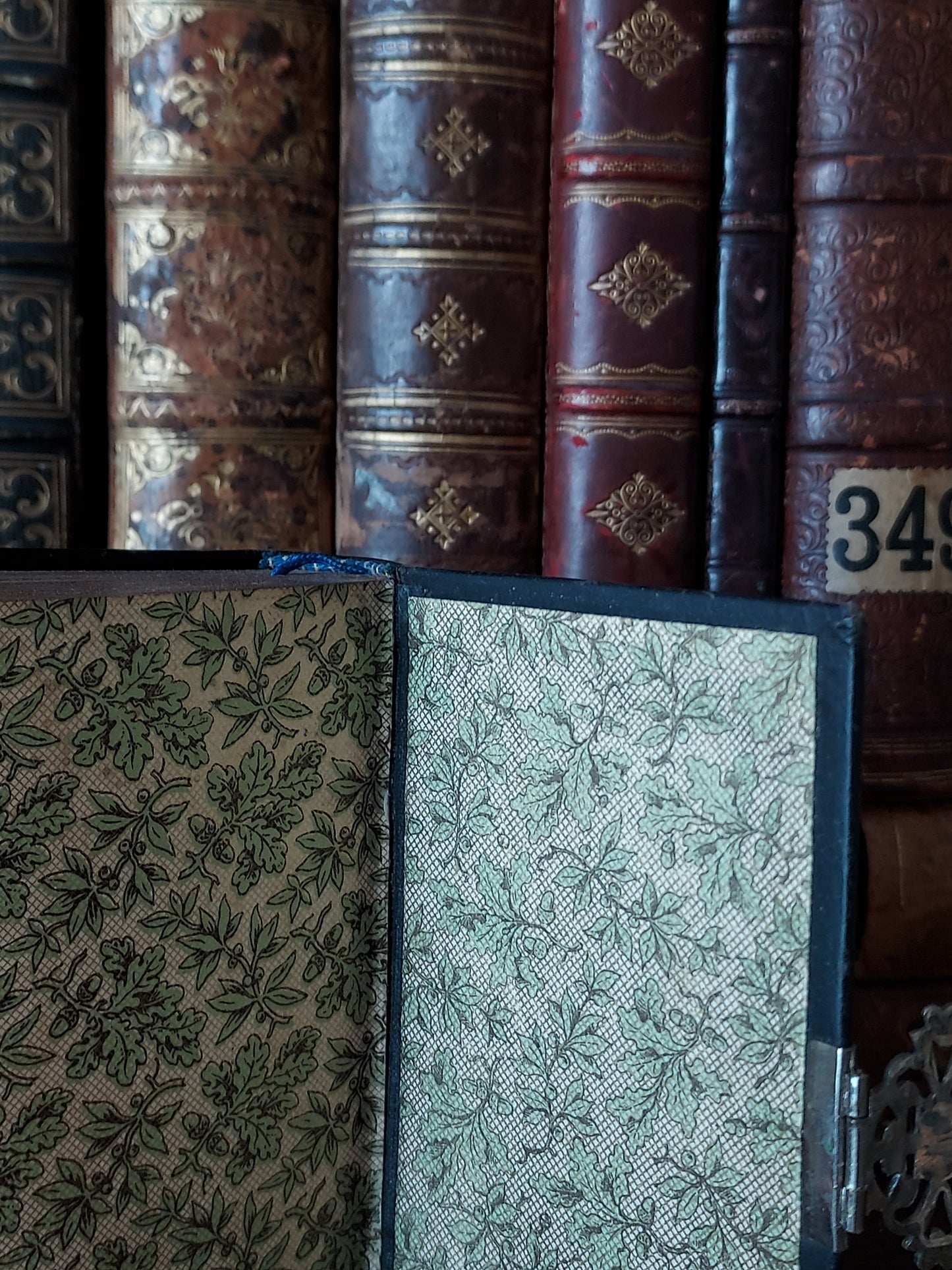 1880s Baum de Lebens | German Mother of Pearl Details