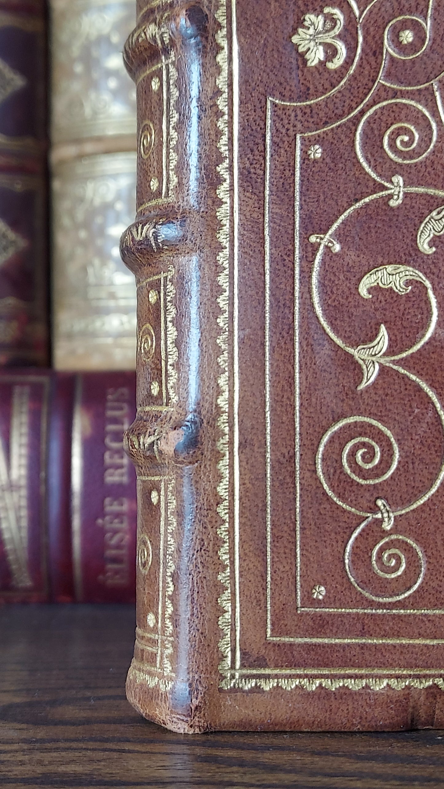 1902 Le Nouveau Testament & Prayer Card | Hand-Illuminated, Stamped by L. Angeli