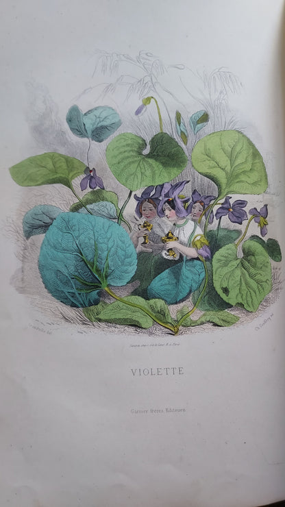 1867 Les Fleurs Animées | Grandville Brown Leather 2-Volume Set
