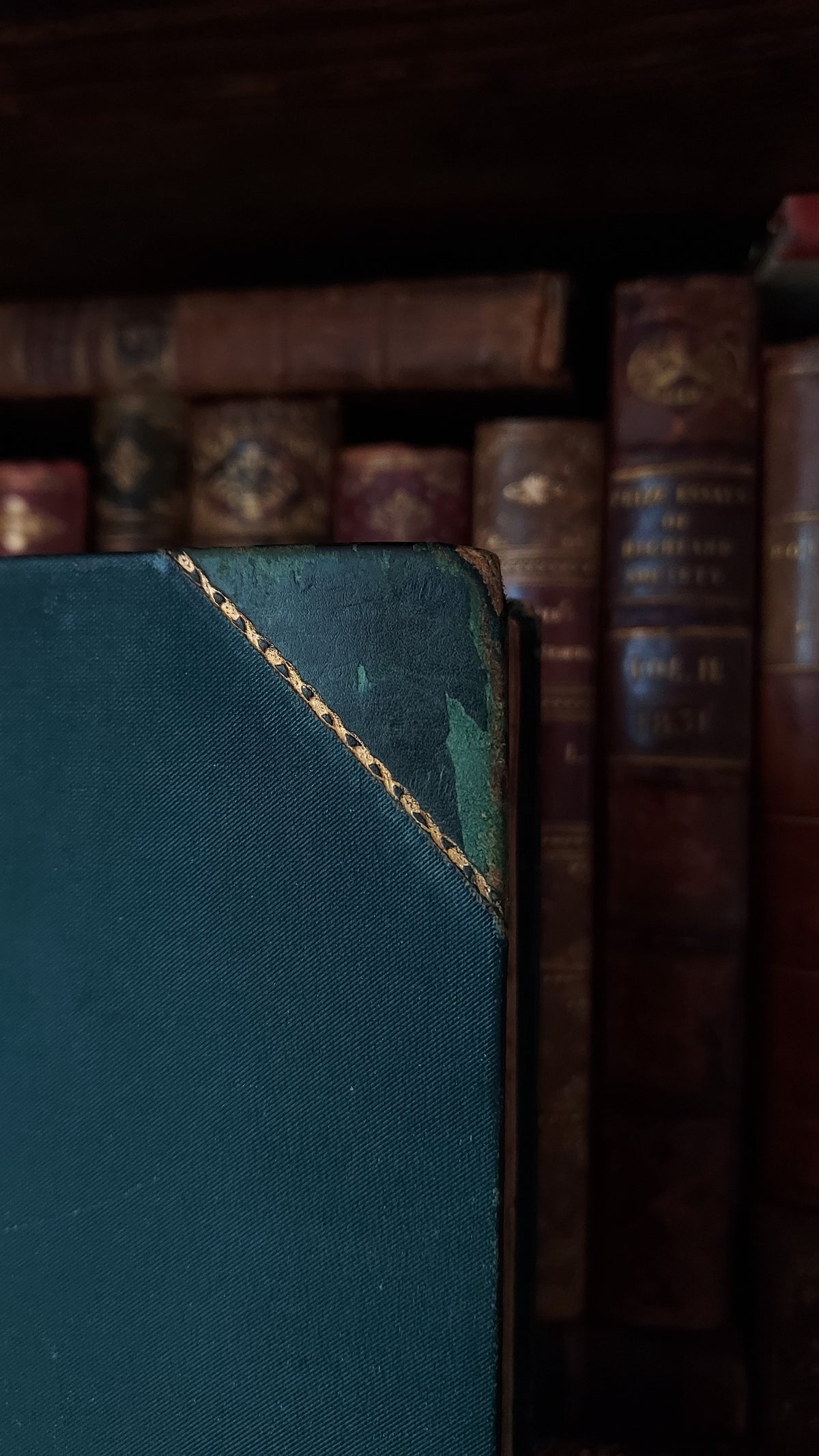 1804 The Shipwreck: A Poem | Green Leather & Thistles