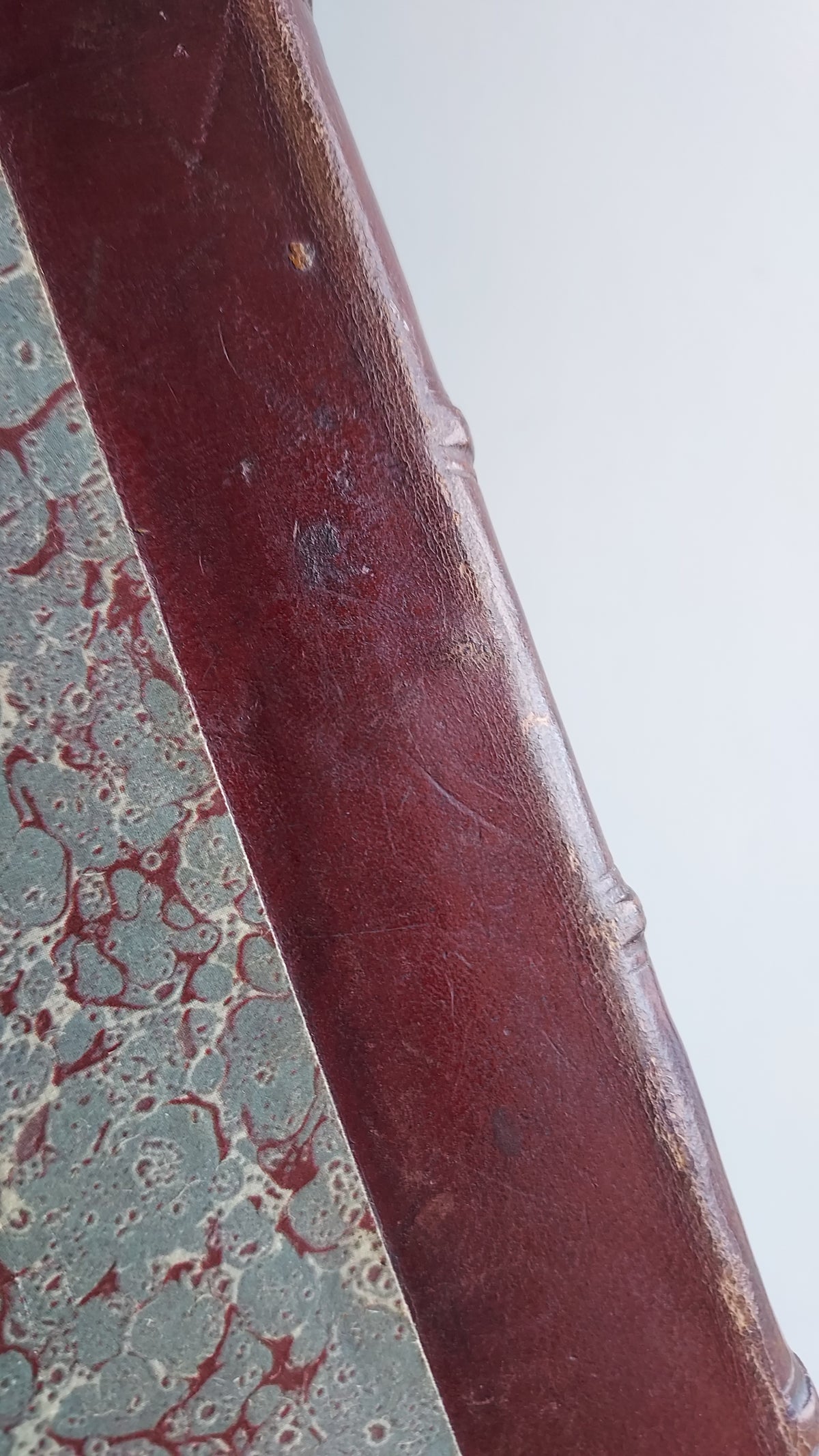 1867 Les Fleurs Animées | Grandville Brown Leather 2-Volume Set