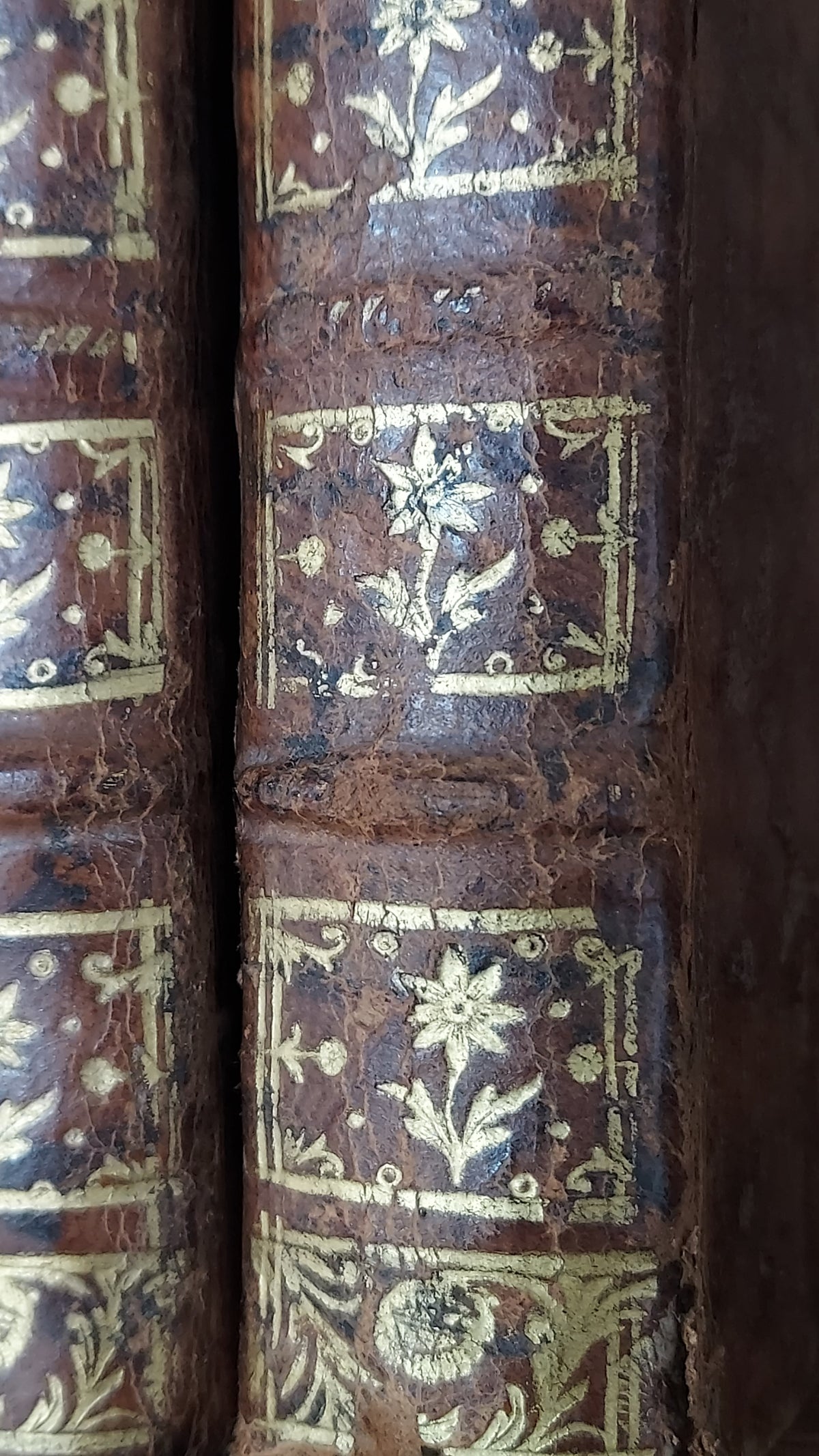1776 Sermons de M. Massillon | 2-Volume Set w/Monastic Labels