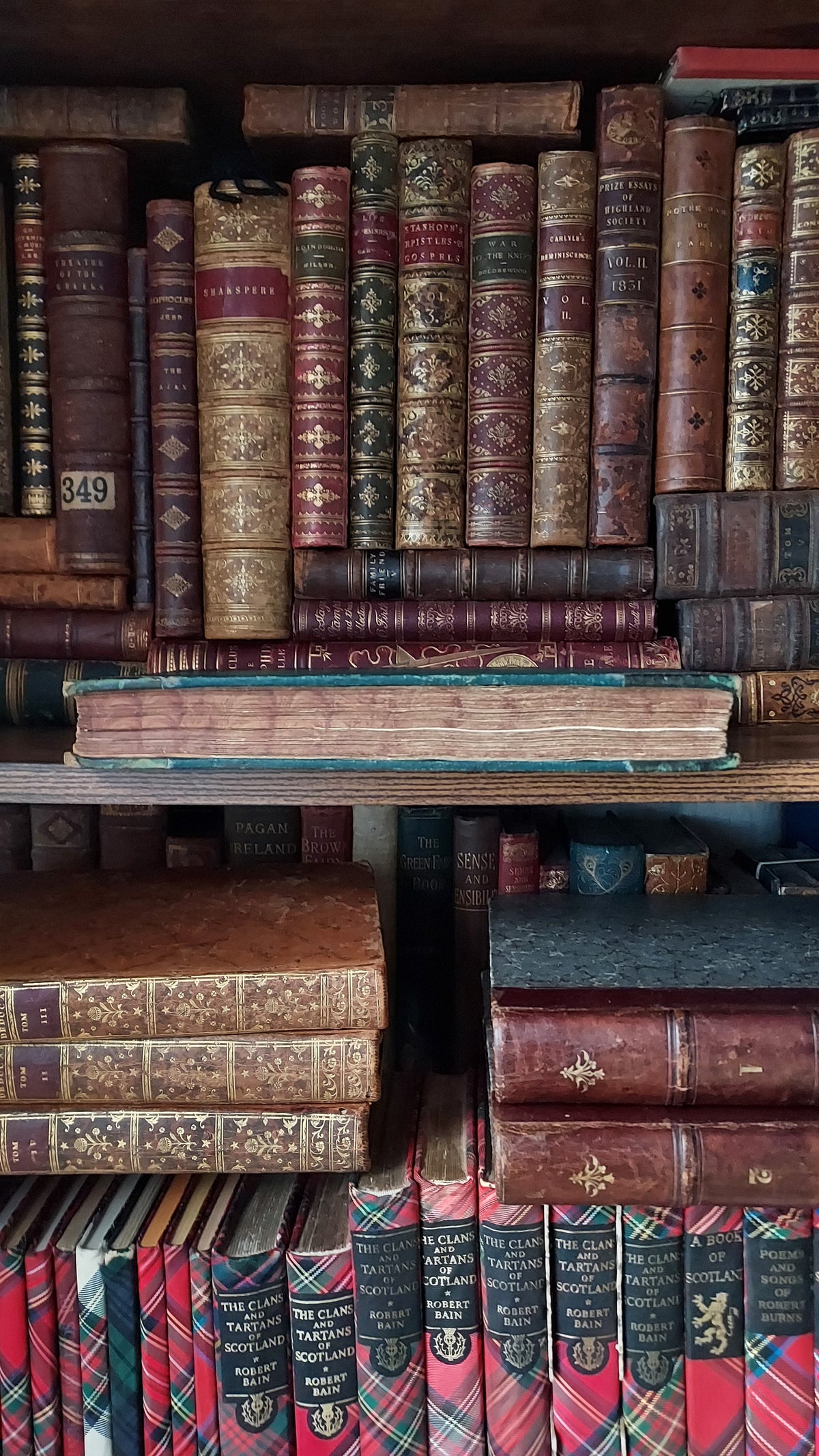 1804 The Shipwreck: A Poem | Green Leather & Thistles