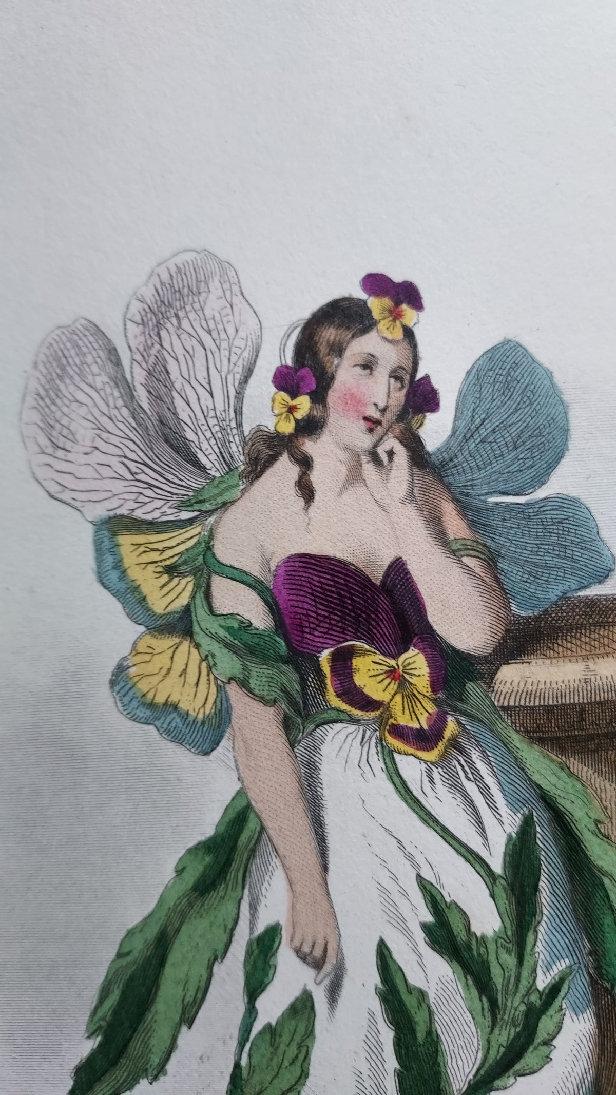 1867 Les Fleurs Animées | Grandville Brown Leather 2-Volume Set