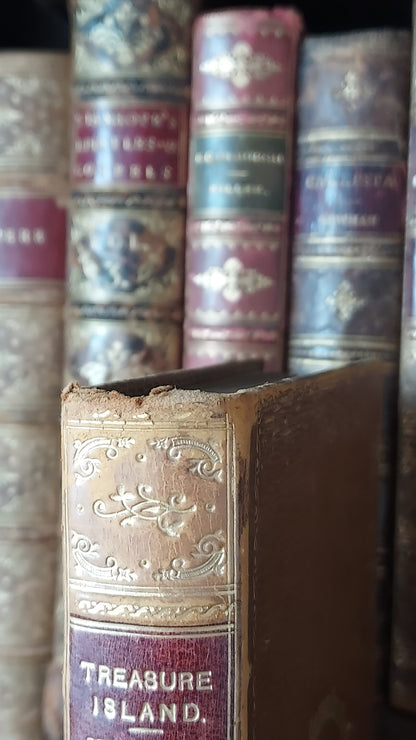 1911 Treasure Island | Prize Binding