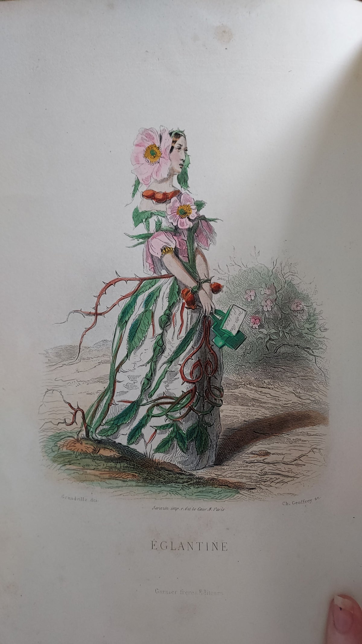 1867 Les Fleurs Animées | Grandville Brown Leather 2-Volume Set