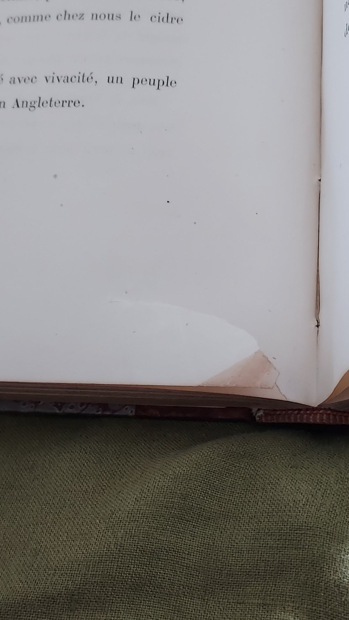 1867 Les Fleurs Animées | Grandville Brown Leather 2-Volume Set