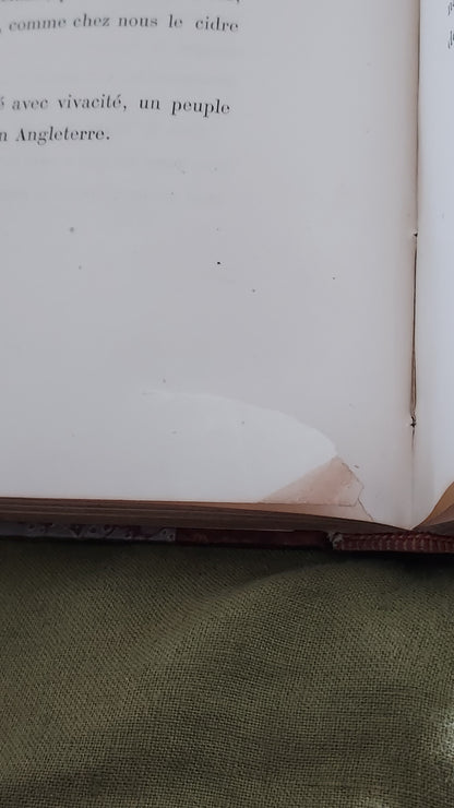 1867 Les Fleurs Animées | Grandville Brown Leather 2-Volume Set