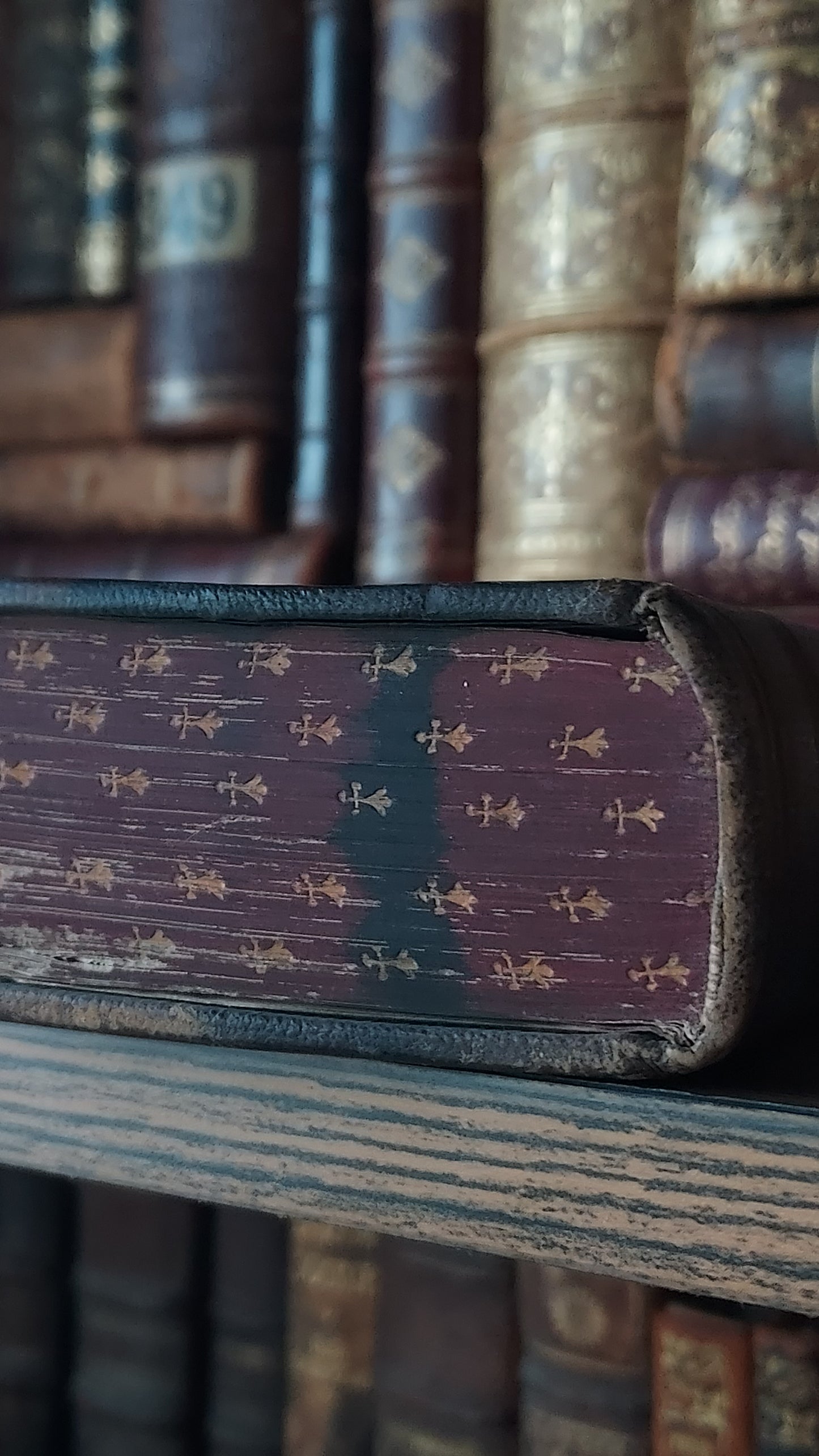 1870s Paroissien Romain | Red Ermine Gauffered Edge