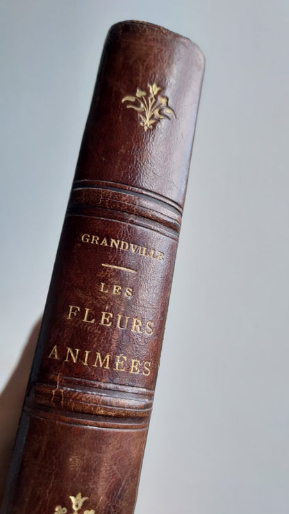 1867 Les Fleurs Animées | Grandville Brown Leather 2-Volume Set