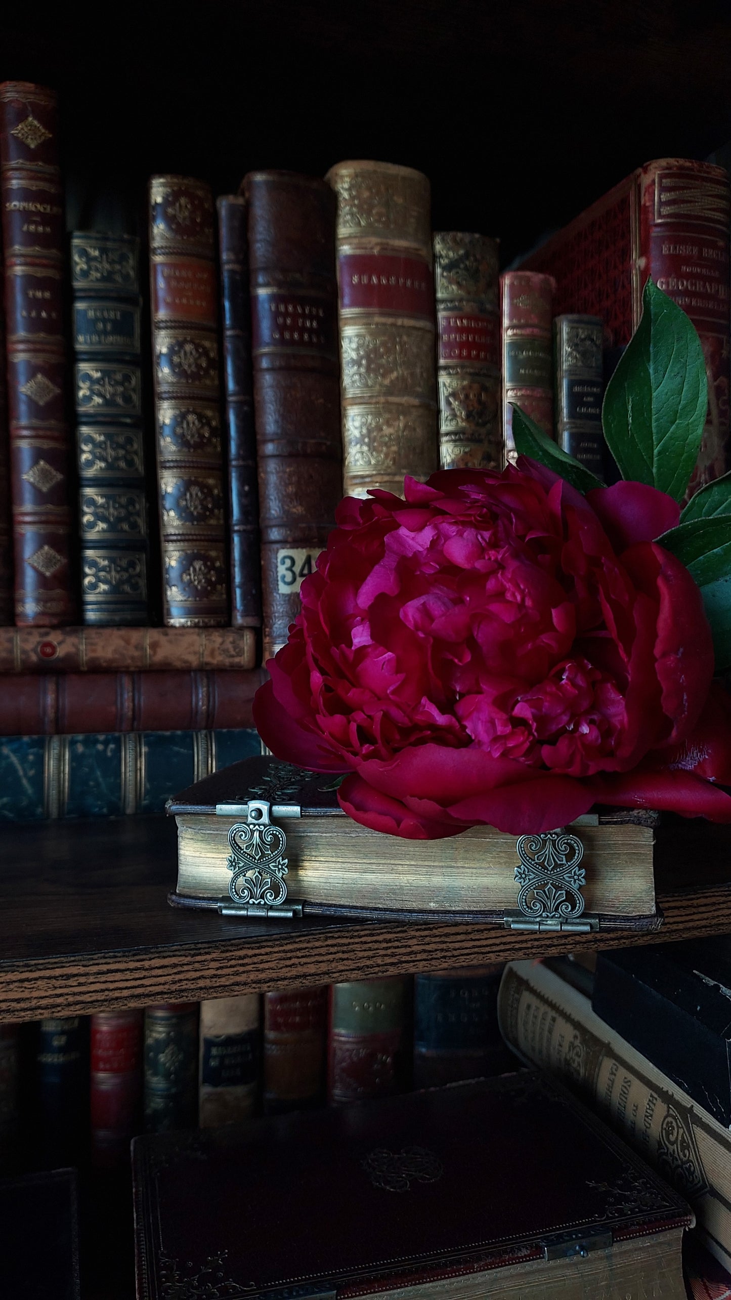1880s Paroissien Romain | Floral Clasp
