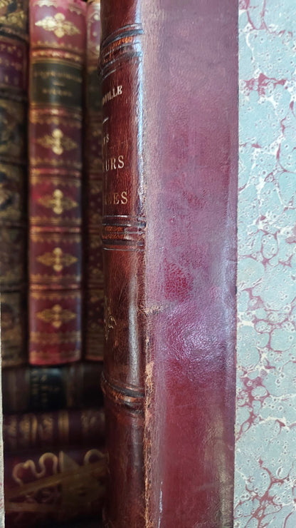 1867 Les Fleurs Animées | Grandville Brown Leather 2-Volume Set