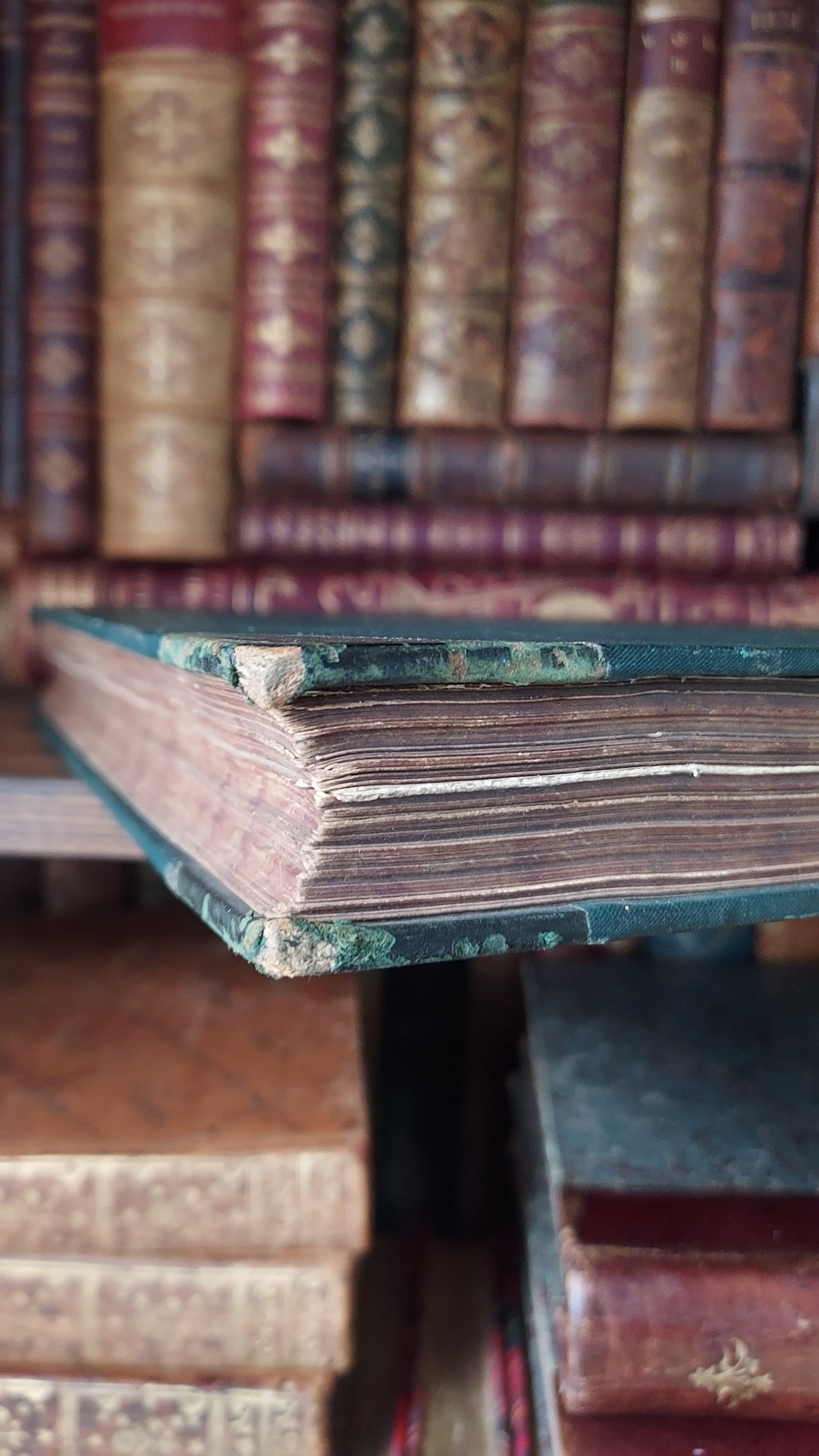 1804 The Shipwreck: A Poem | Green Leather & Thistles