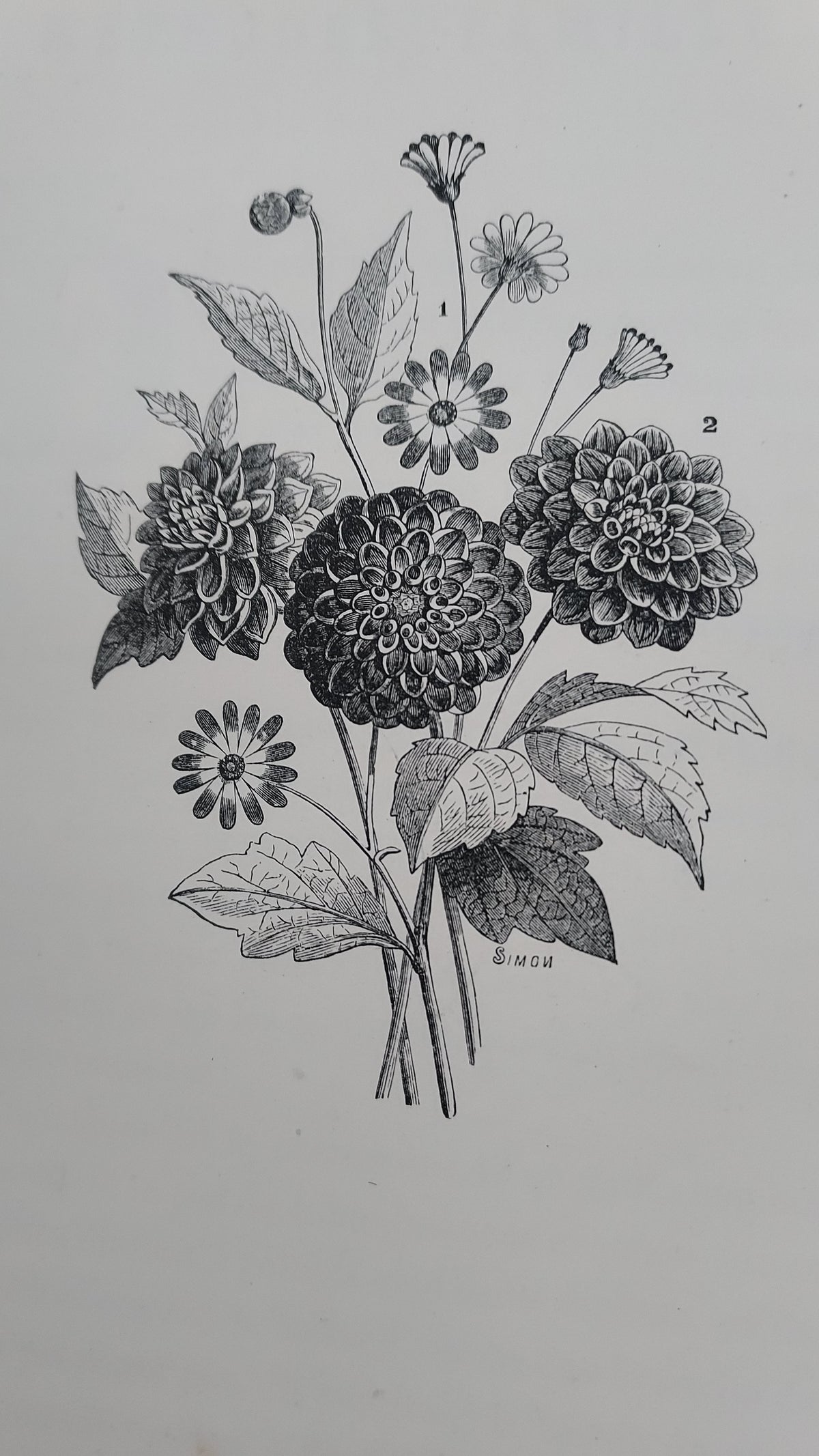 1867 Les Fleurs Animées | Grandville Brown Leather 2-Volume Set