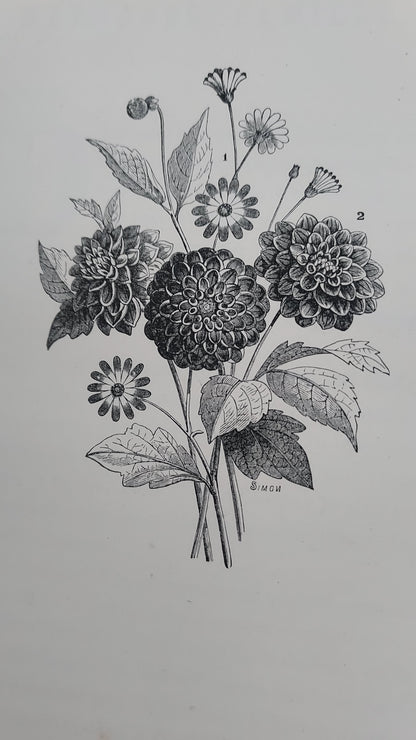 1867 Les Fleurs Animées | Grandville Brown Leather 2-Volume Set