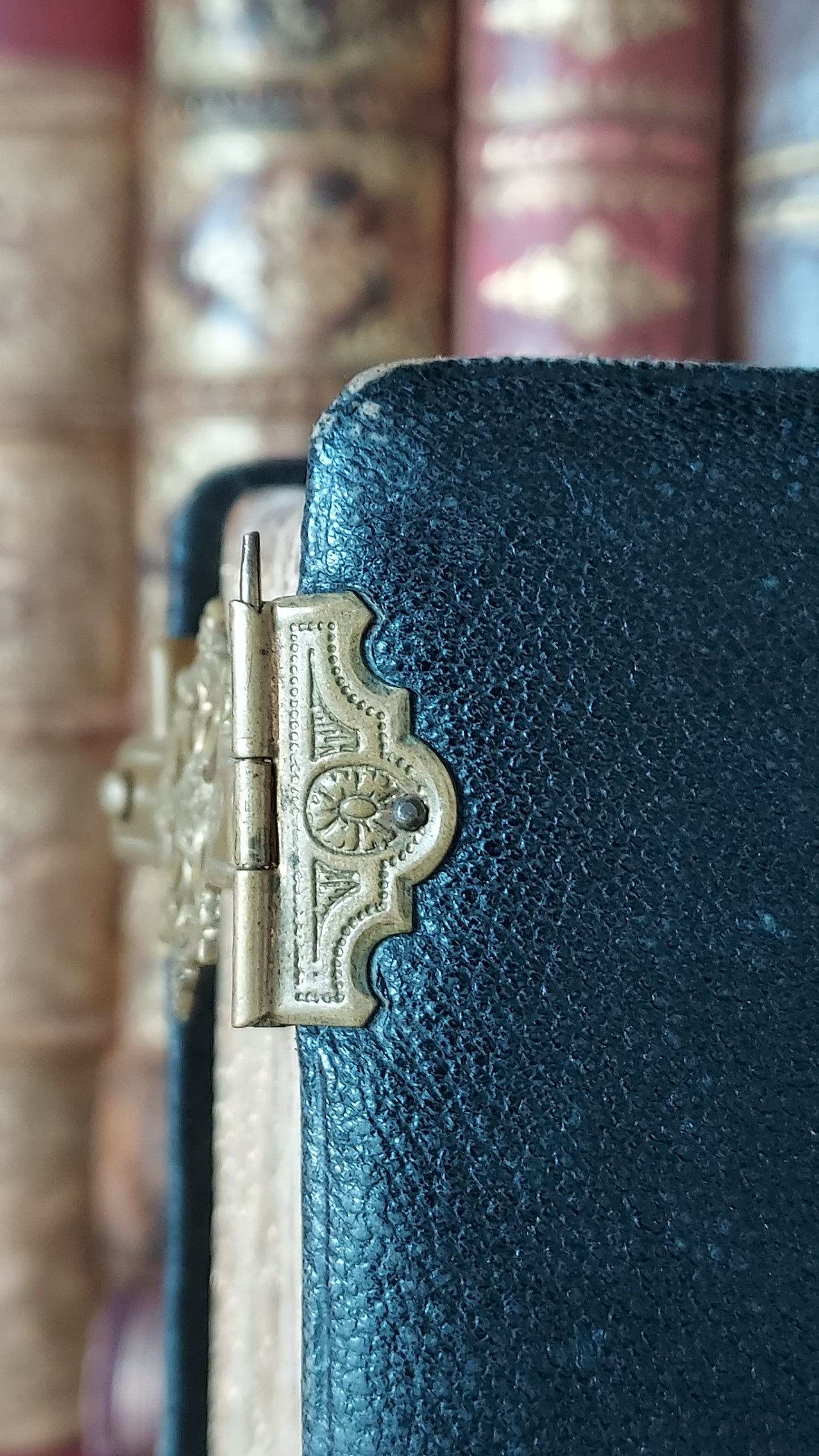 1897 Manuale di Filotea | Hand-Painted Rose Gauffered Edges