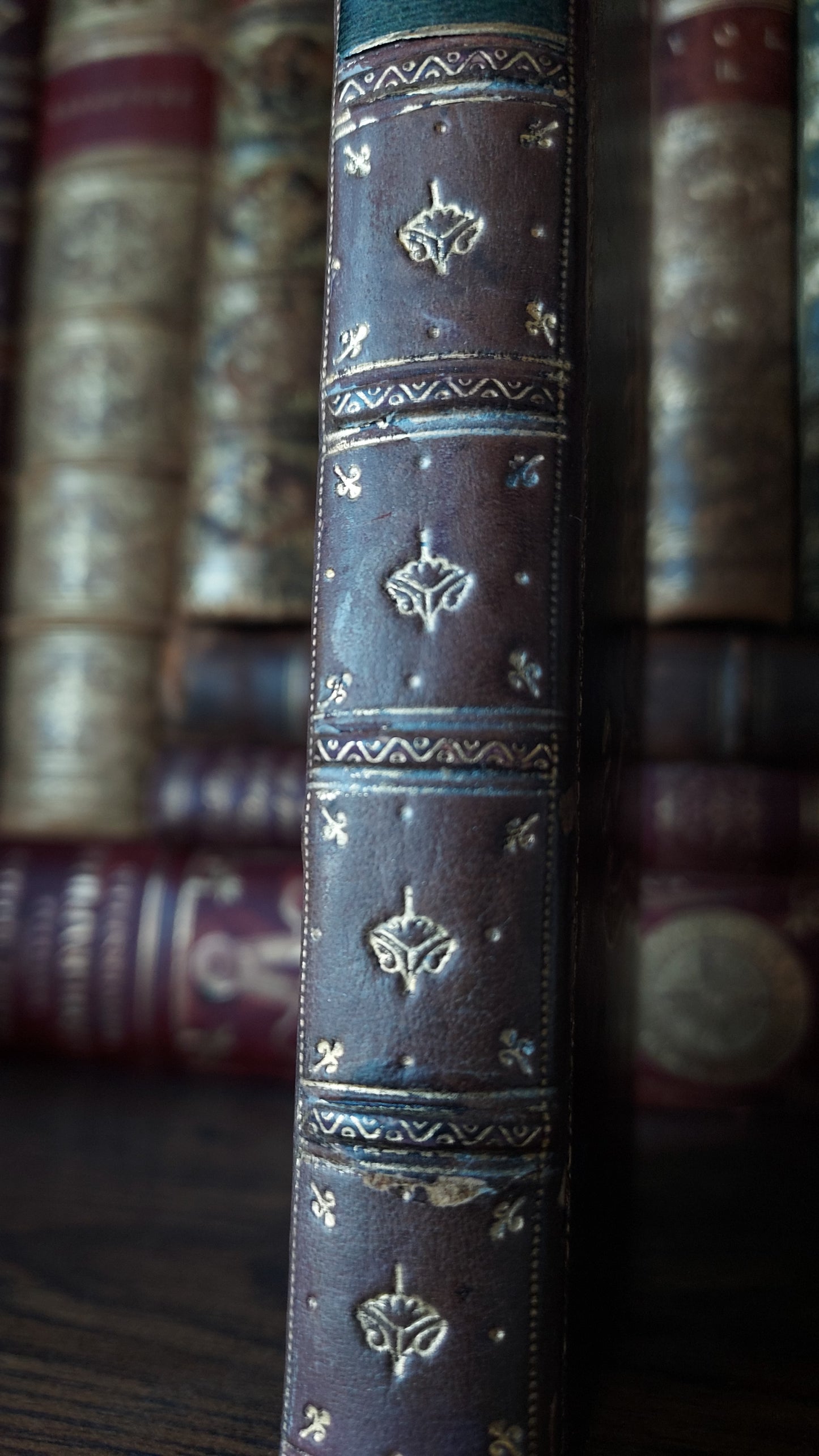 1895 Popular Astronomy | Fine Prize Binding