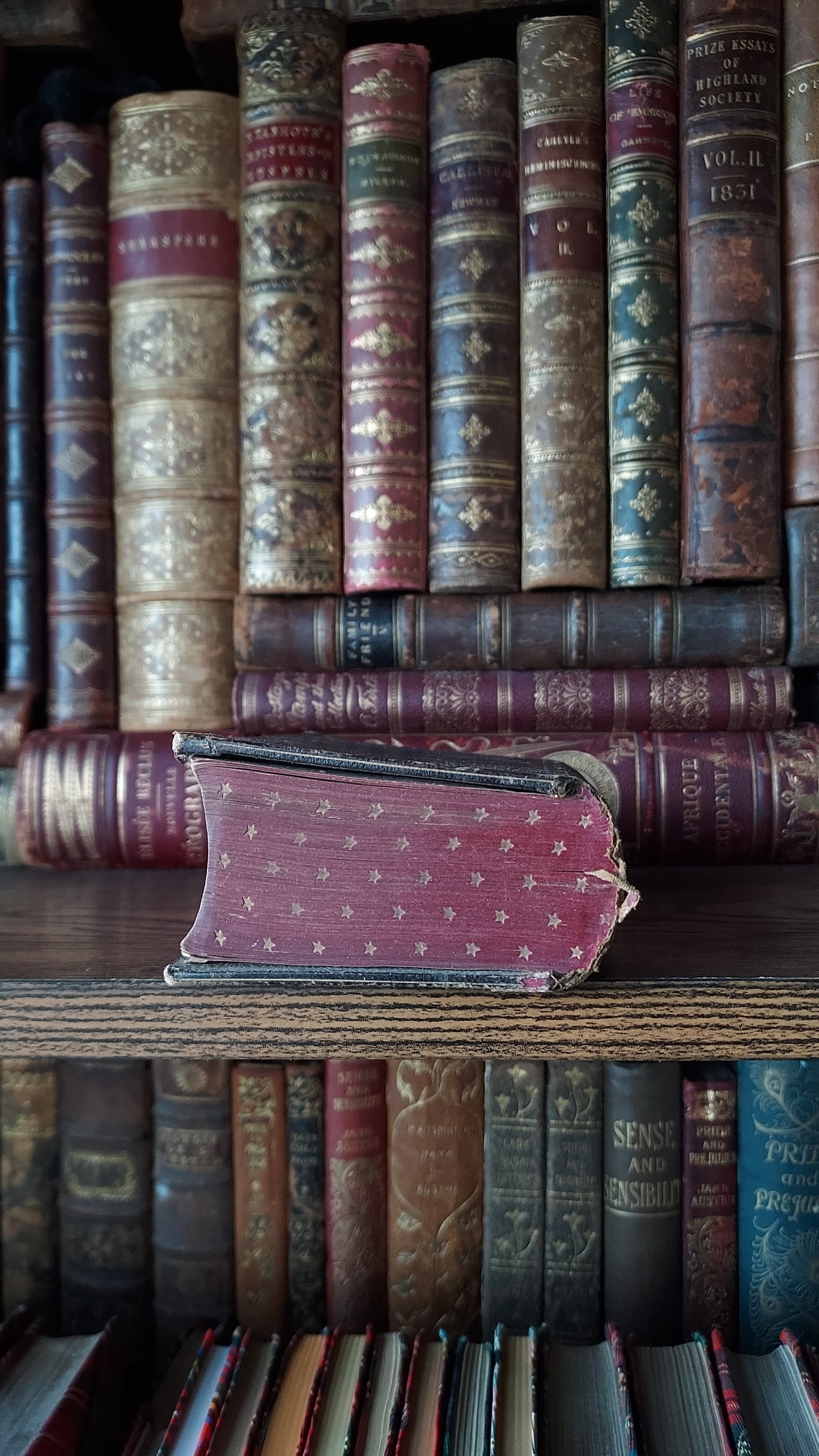 1876 Paroissien Romain | Red Star Gauffered Edge