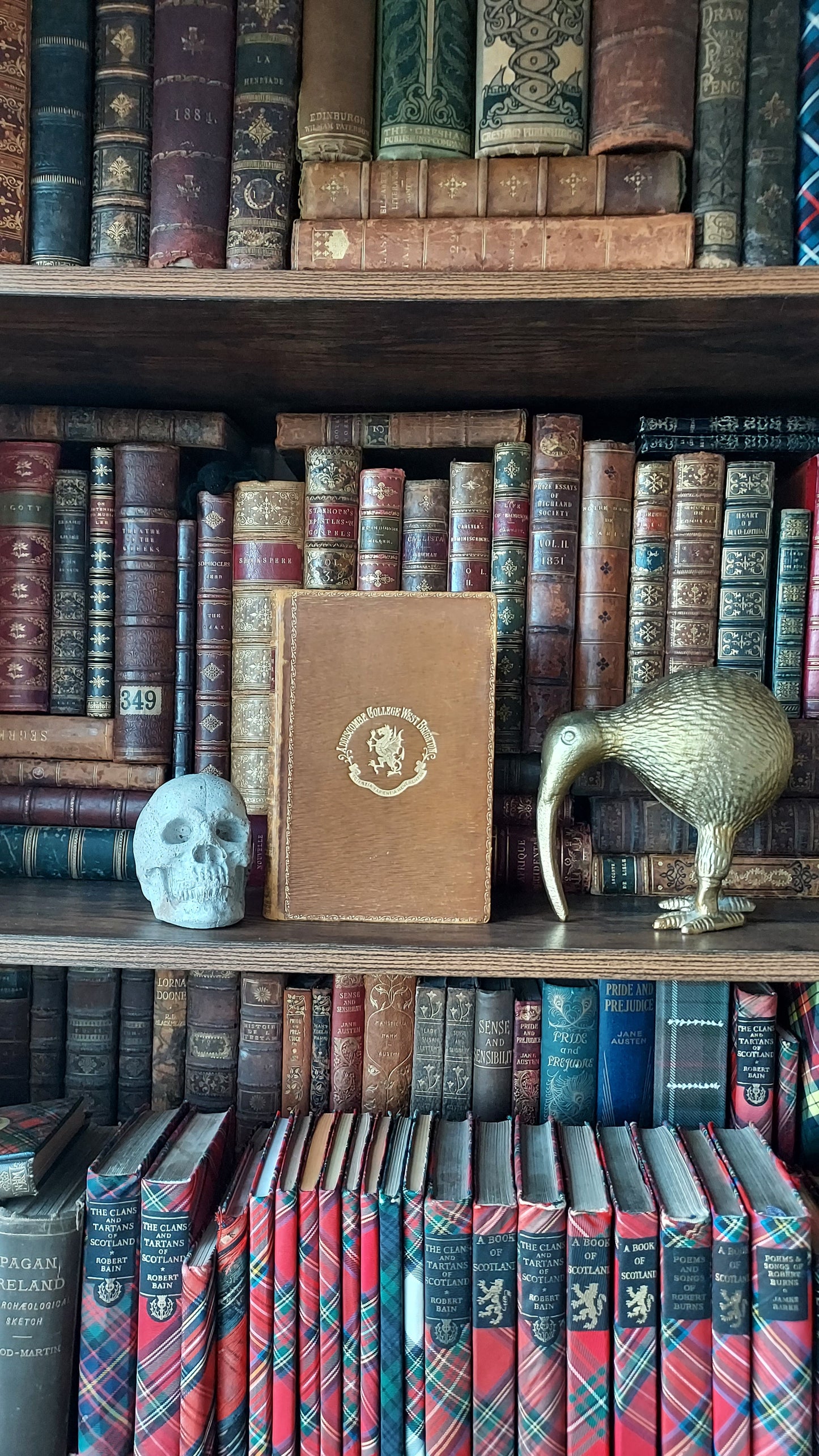 1911 Treasure Island | Prize Binding