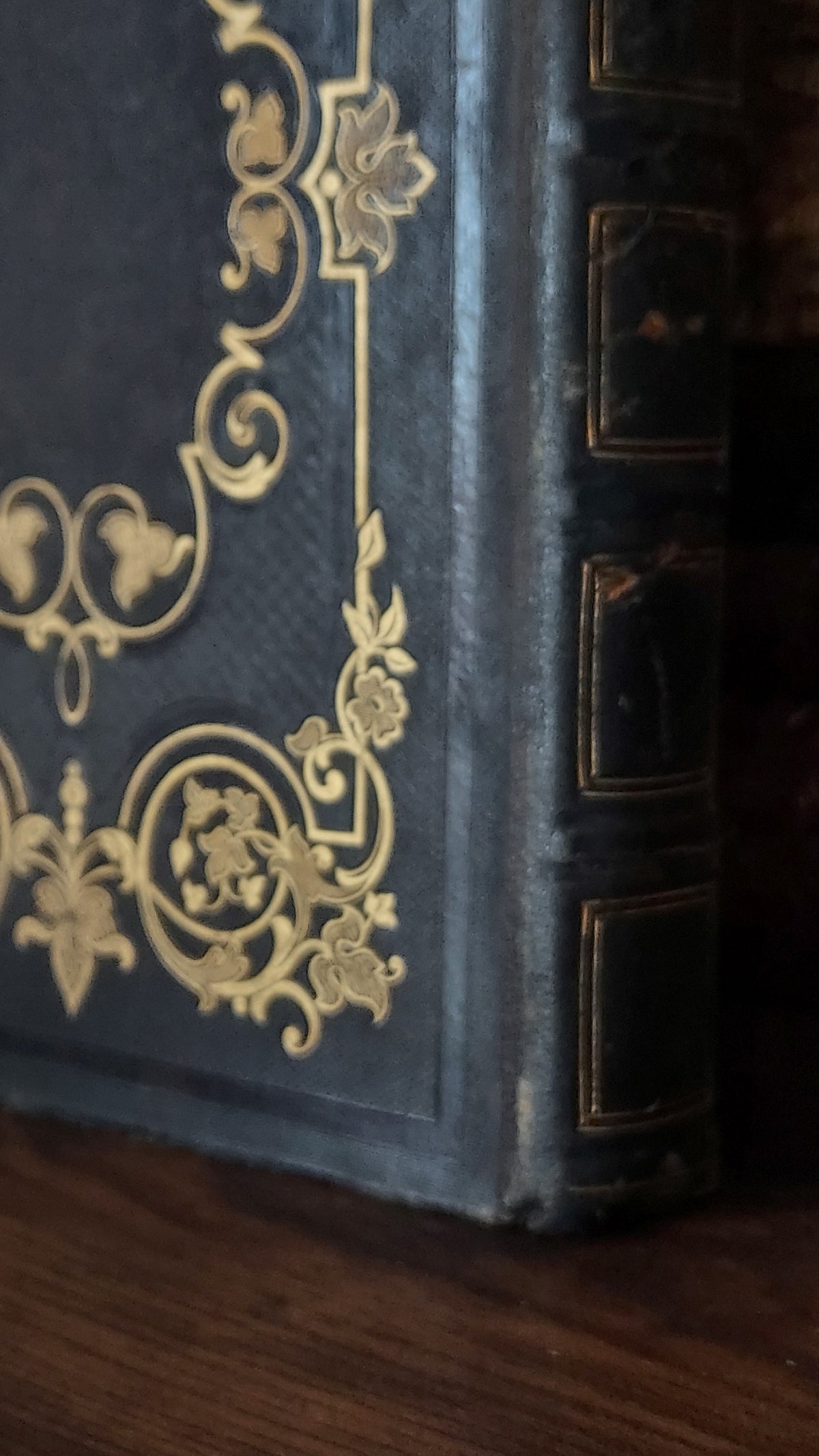 1845 Pierre Saintive | Vine Motif Cartonnage