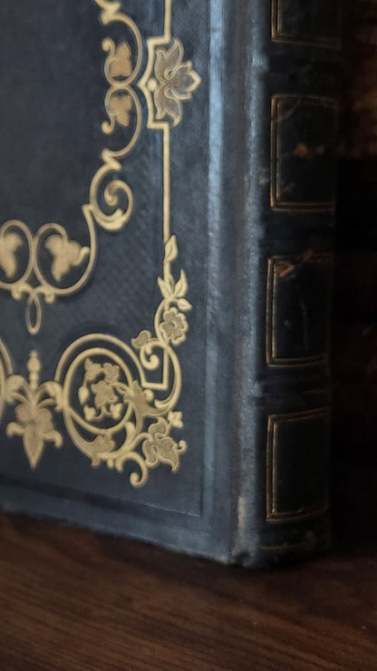 1845 Pierre Saintive | Vine Motif Cartonnage