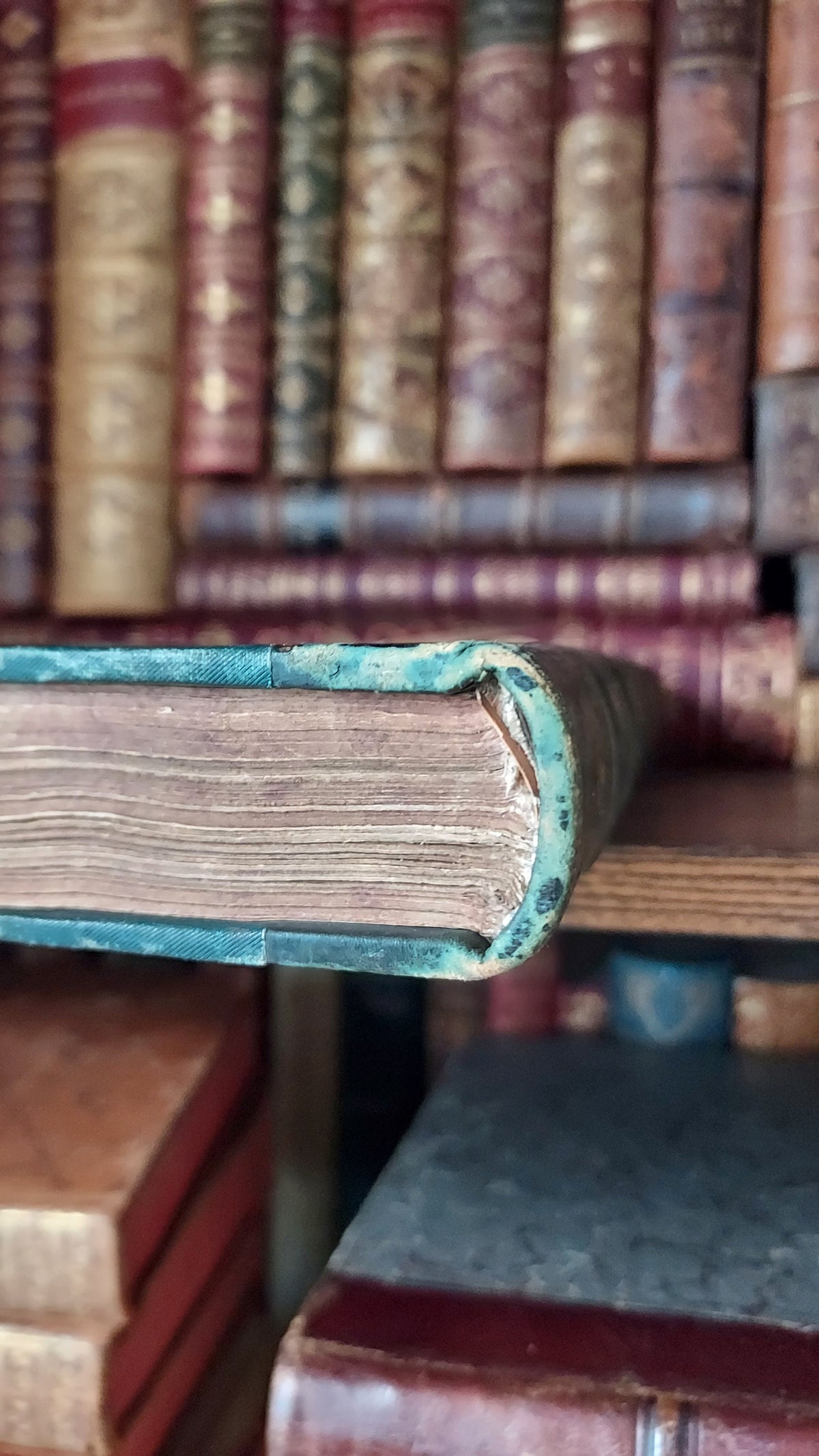 1804 The Shipwreck: A Poem | Green Leather & Thistles