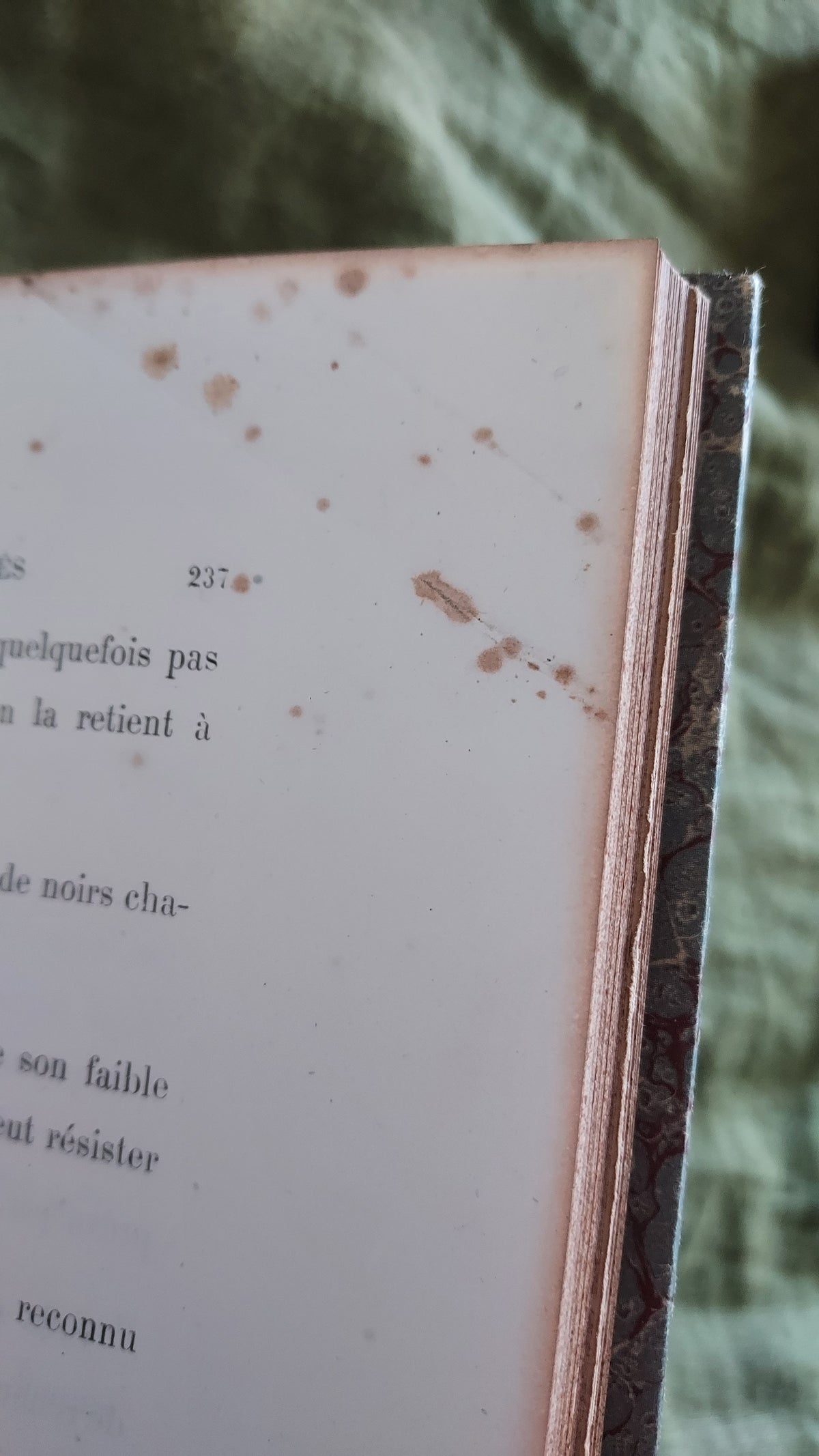 1867 Les Fleurs Animées | Grandville Brown Leather 2-Volume Set