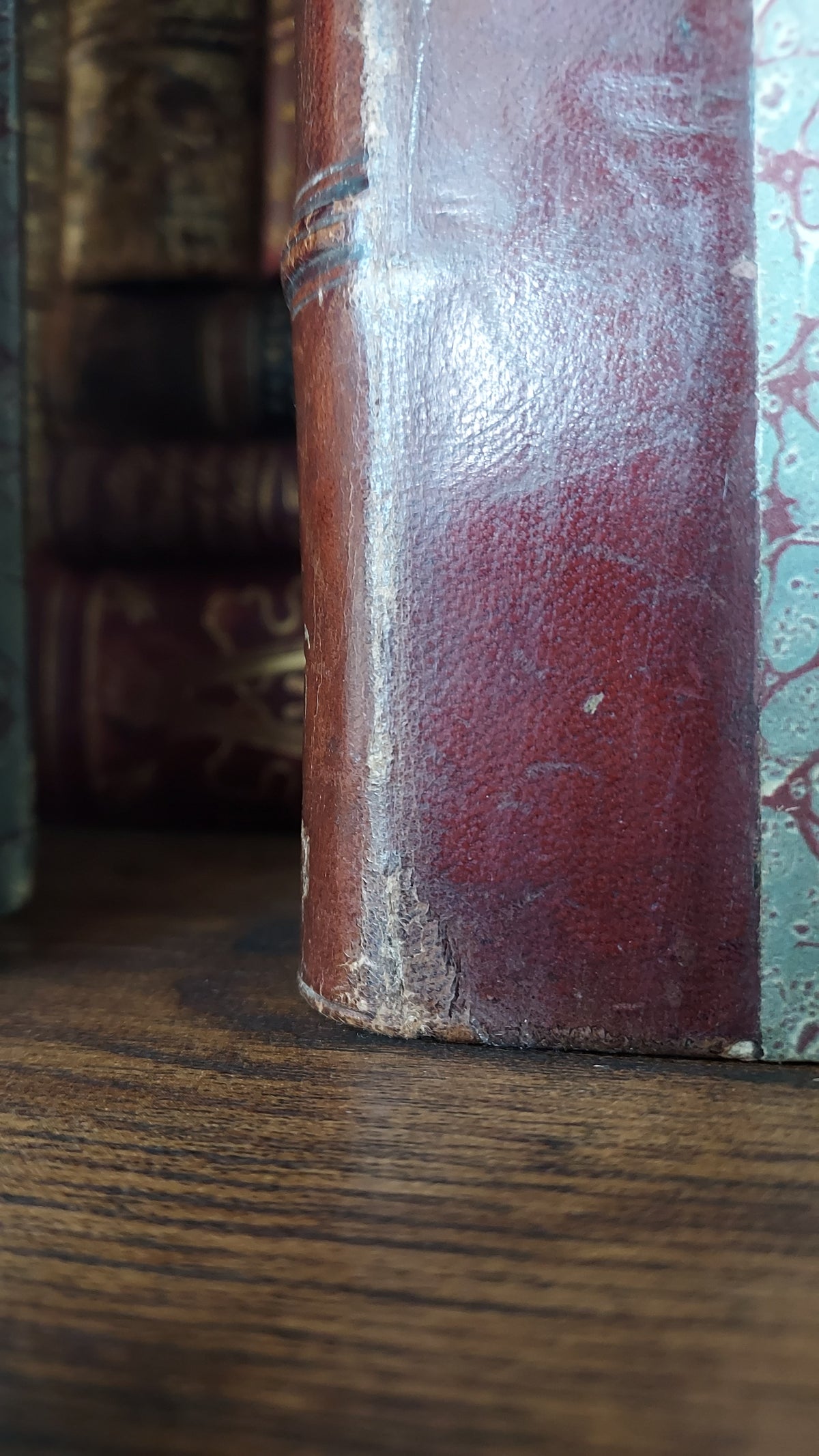 1867 Les Fleurs Animées | Grandville Brown Leather 2-Volume Set