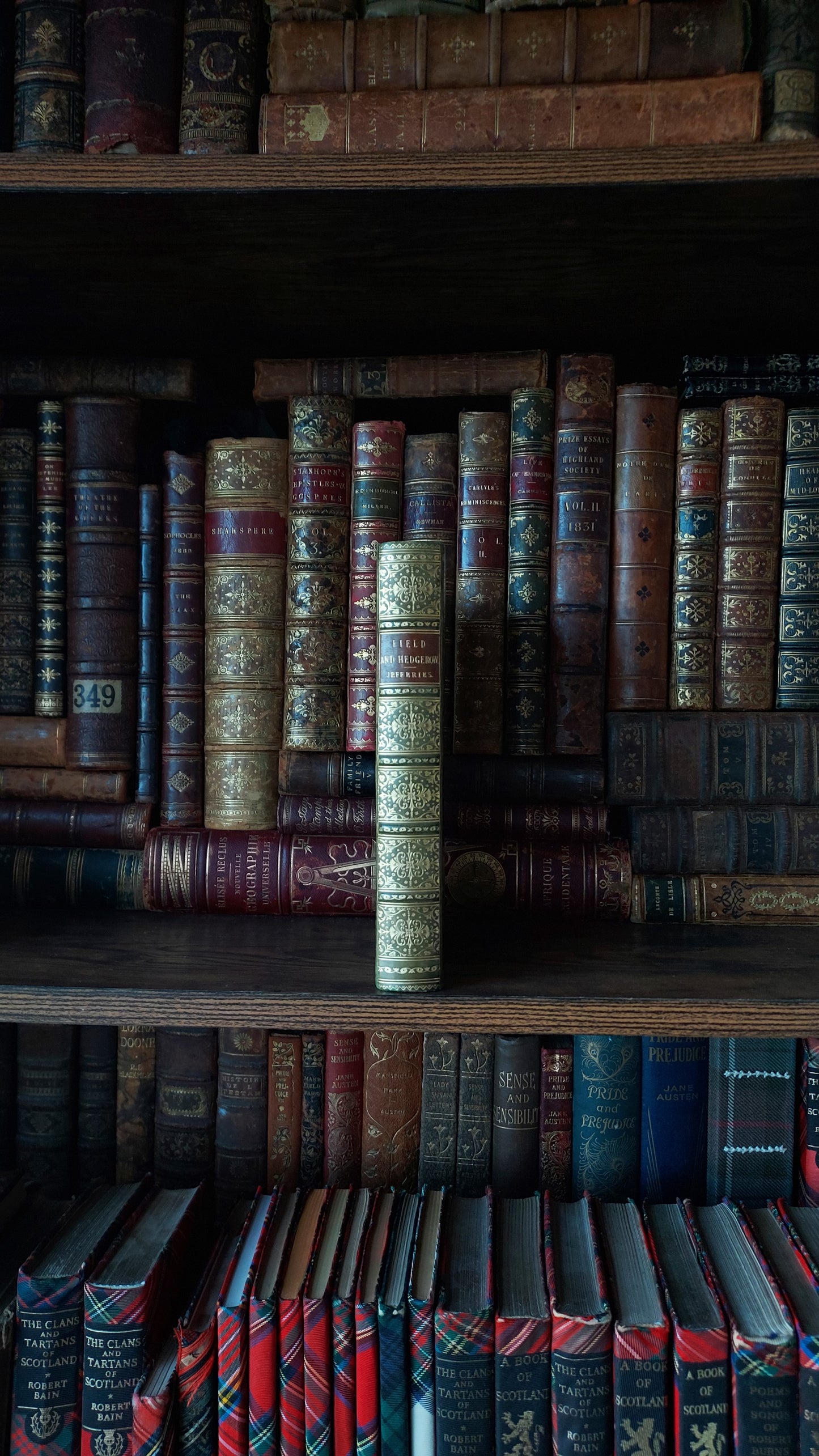1897 Field and Hedgegrow | St. Andrew's School Fine Prize Binding