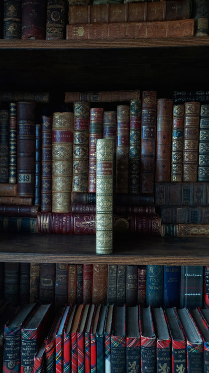 1897 Field and Hedgegrow | St. Andrew's School Fine Prize Binding