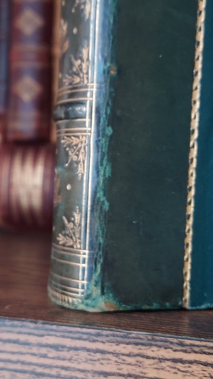 1804 The Shipwreck: A Poem | Green Leather & Thistles
