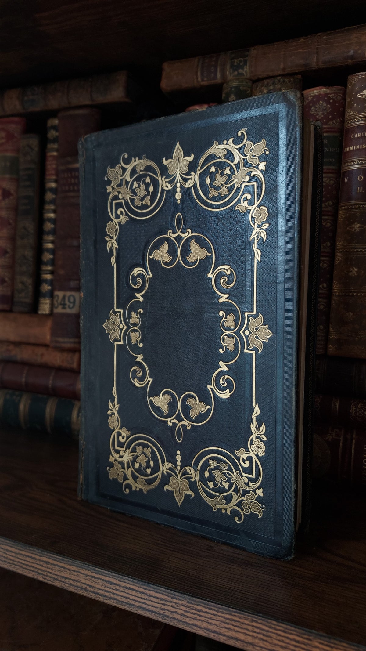 1845 Pierre Saintive | Vine Motif Cartonnage