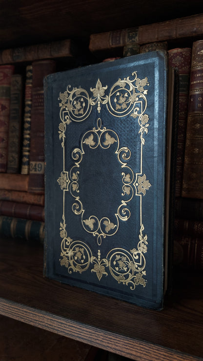1845 Pierre Saintive | Vine Motif Cartonnage