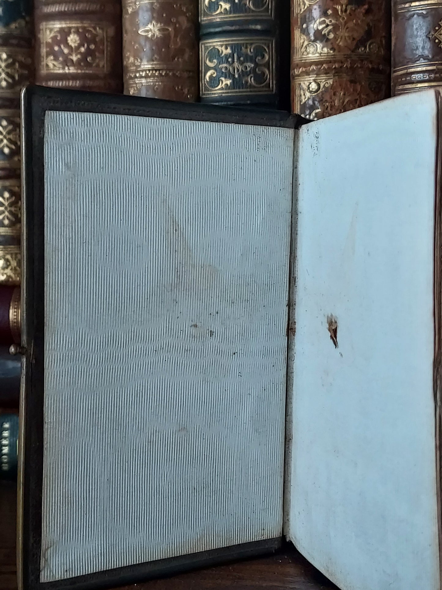 1867 Recueil de prières: Gilt-Gauffered and Hand-Painted Floral Page Edges